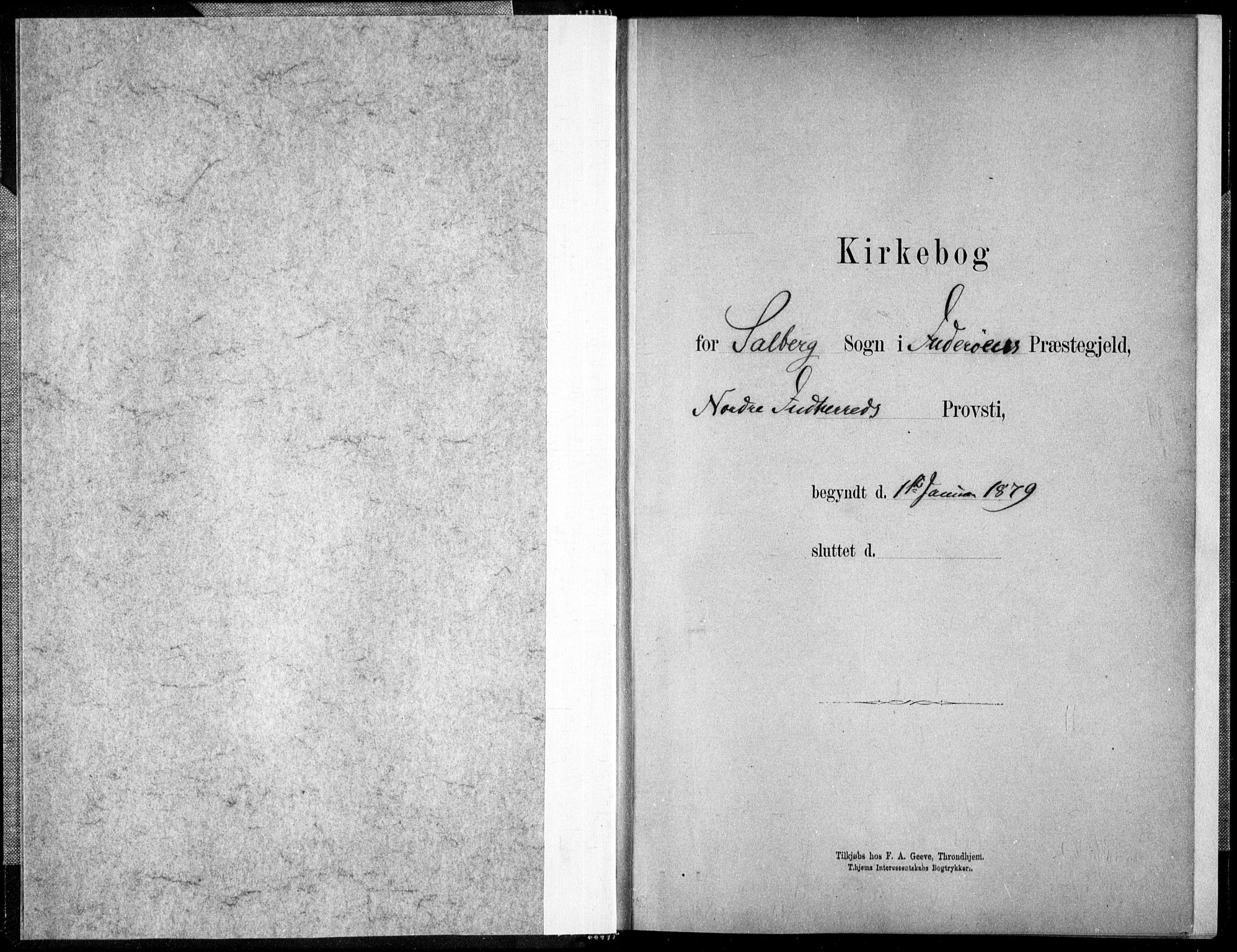 Ministerialprotokoller, klokkerbøker og fødselsregistre - Nord-Trøndelag, SAT/A-1458/731/L0309: Parish register (official) no. 731A01, 1879-1918