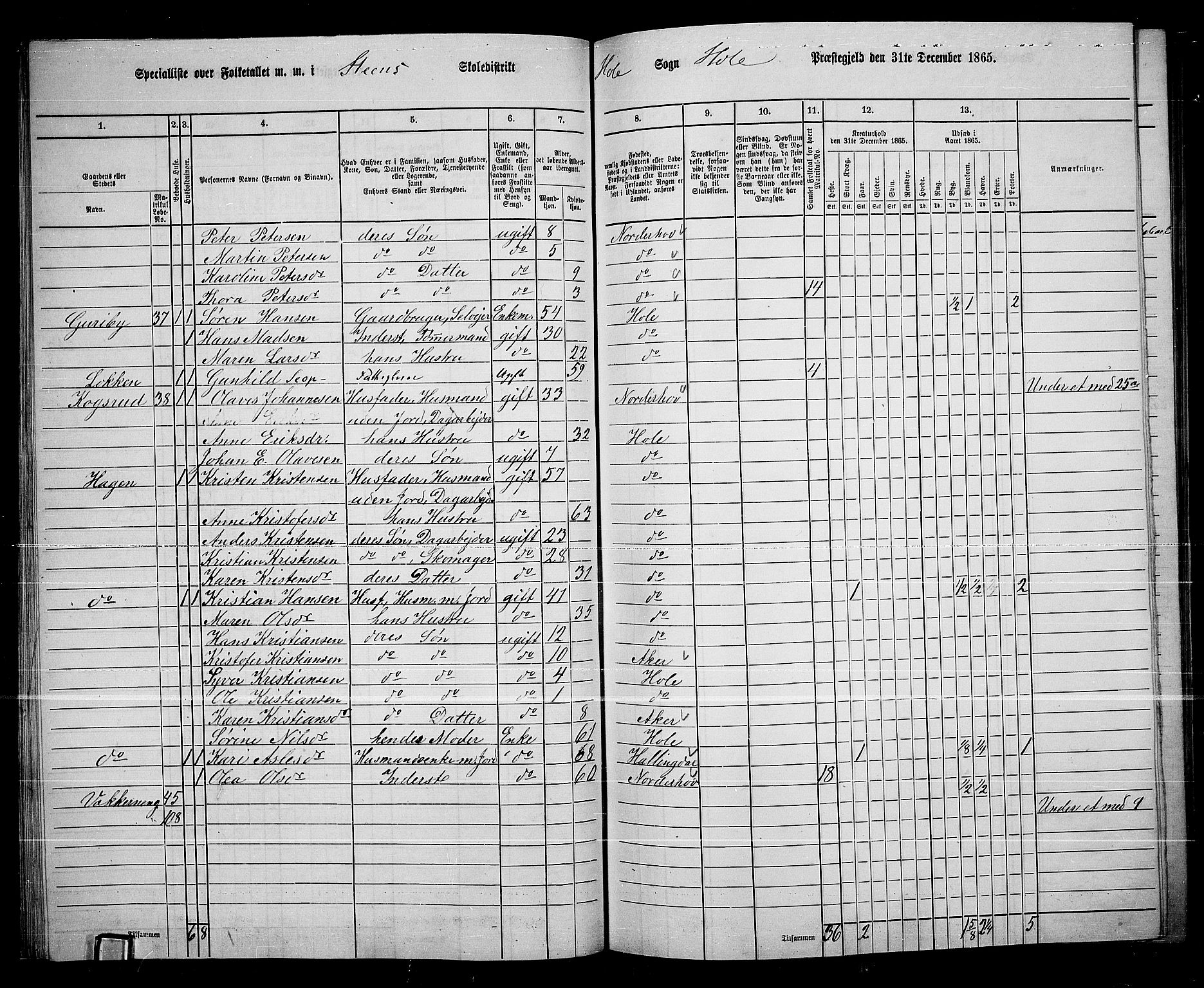 RA, 1865 census for Hole, 1865, p. 34