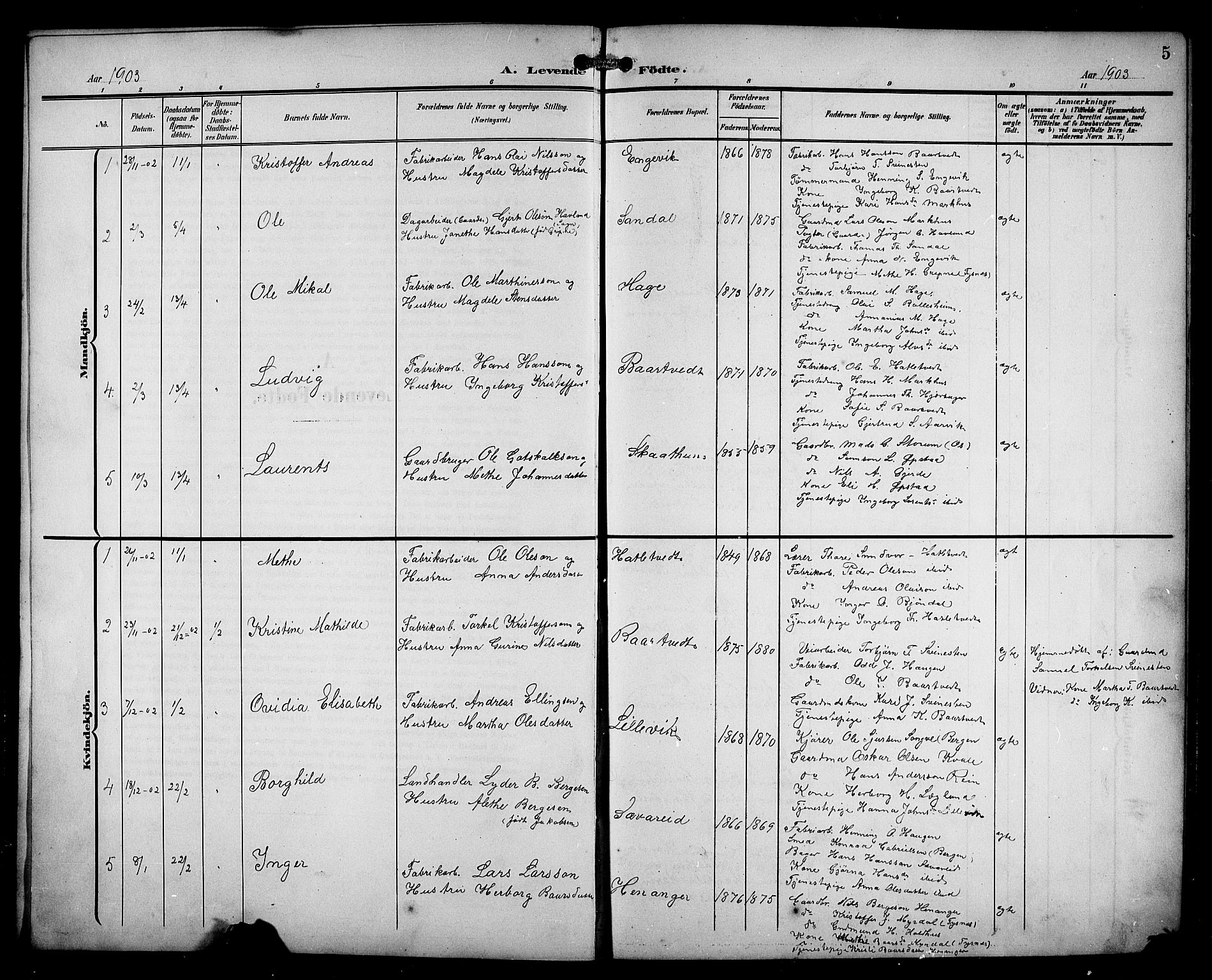 Fusa sokneprestembete, AV/SAB-A-75401/H/Hab: Parish register (copy) no. C 3, 1903-1920, p. 5