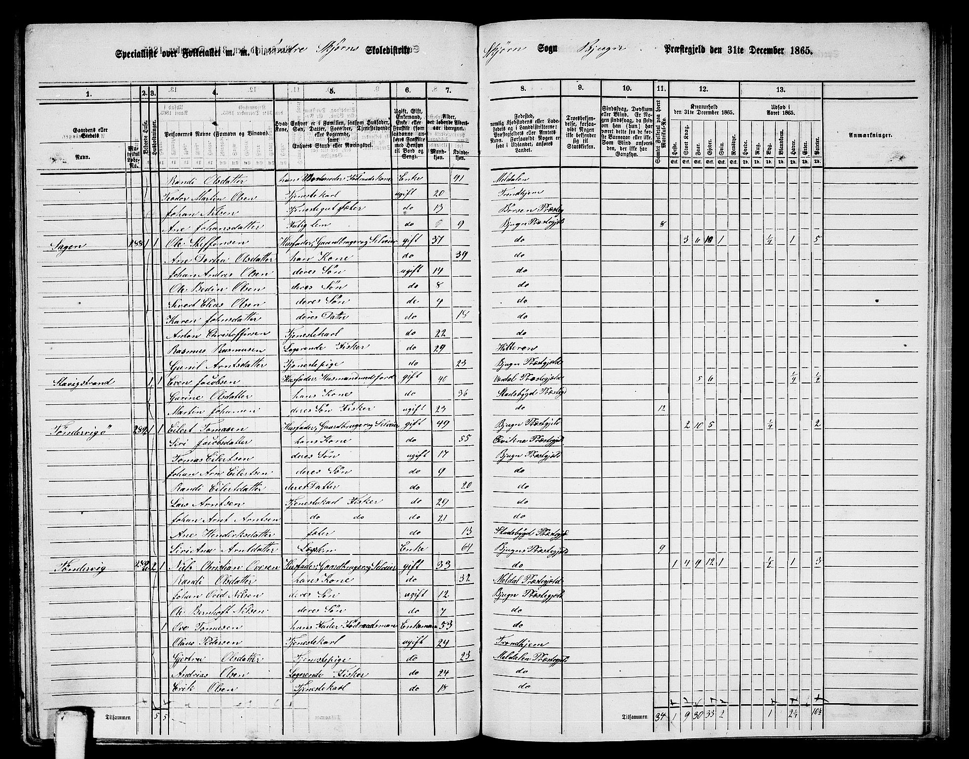 RA, 1865 census for Bjugn, 1865, p. 132