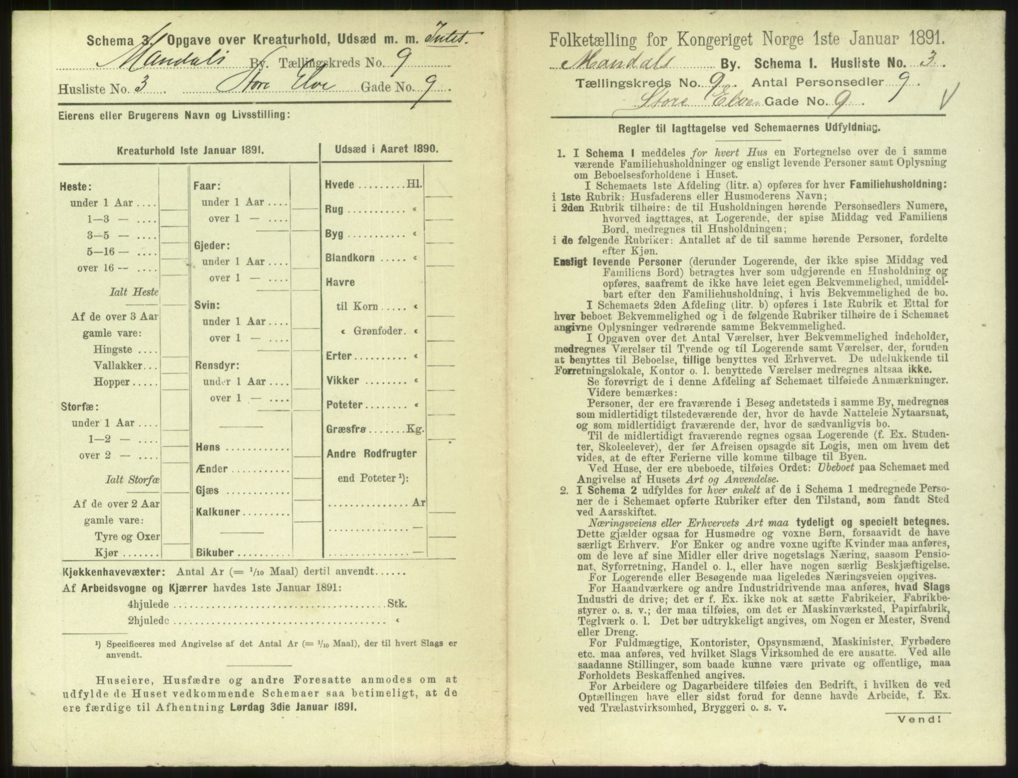 RA, 1891 census for 1002 Mandal, 1891, p. 447