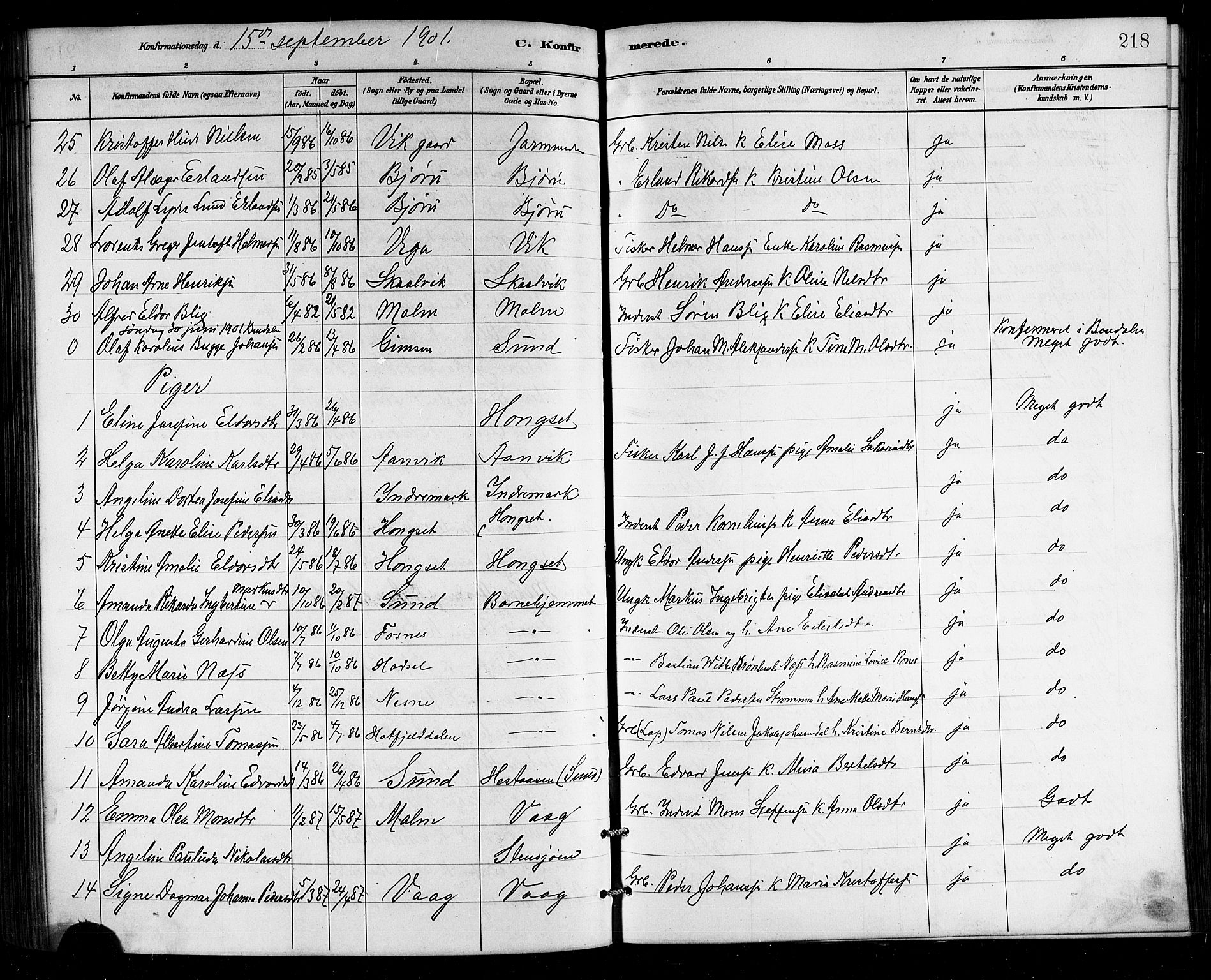 Ministerialprotokoller, klokkerbøker og fødselsregistre - Nordland, SAT/A-1459/812/L0188: Parish register (copy) no. 812C06, 1884-1912, p. 218