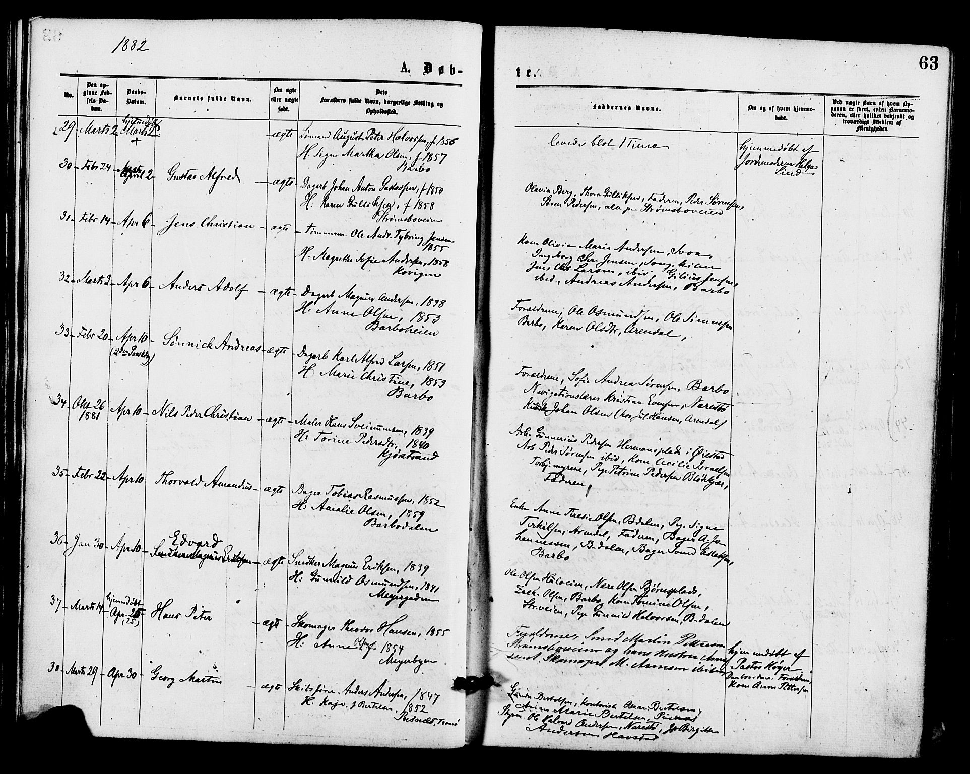 Barbu sokneprestkontor, AV/SAK-1111-0003/F/Fa/L0001: Parish register (official) no. A 1 /1, 1878-1883, p. 63