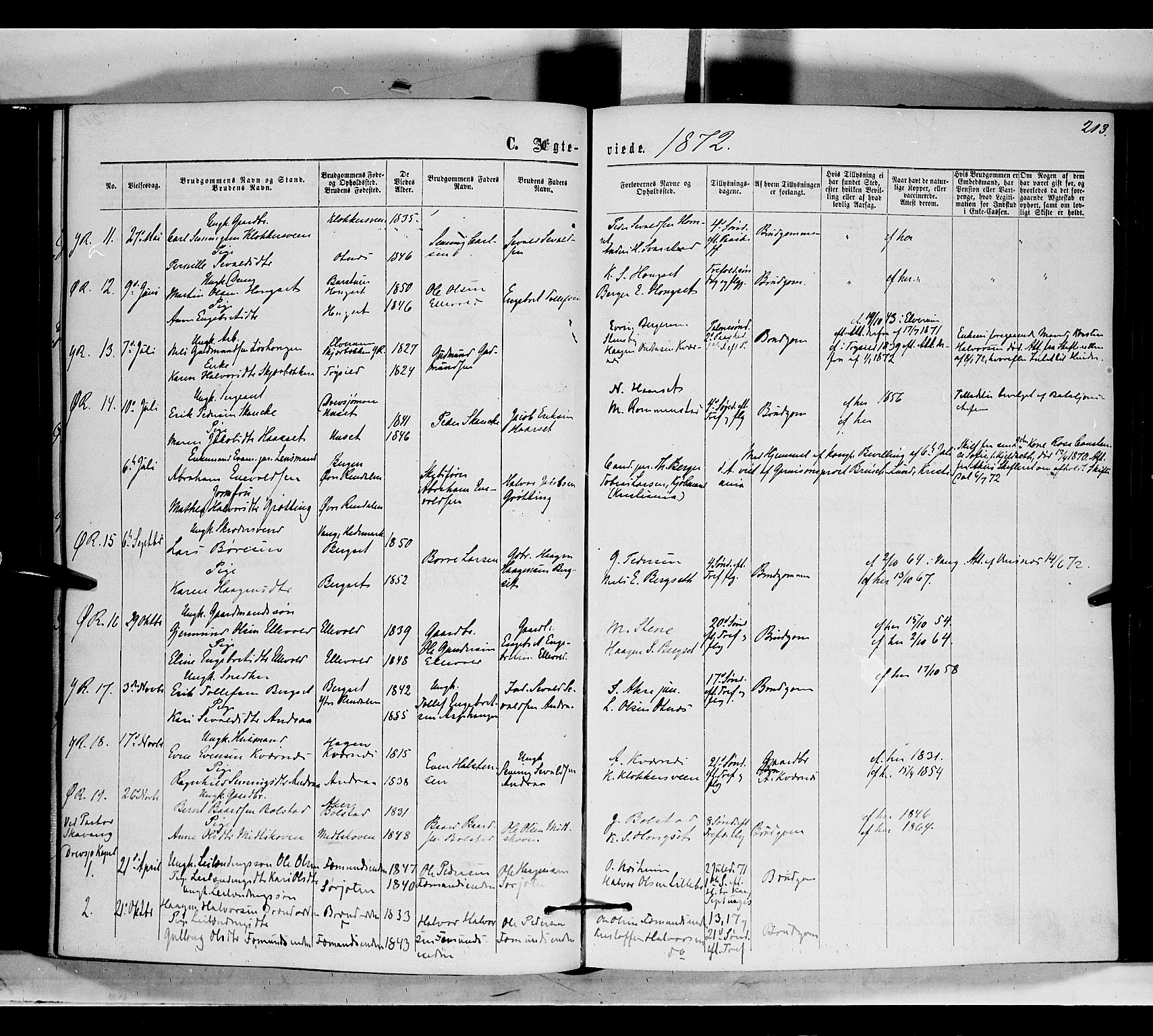 Rendalen prestekontor, AV/SAH-PREST-054/H/Ha/Haa/L0006: Parish register (official) no. 6, 1867-1877, p. 213