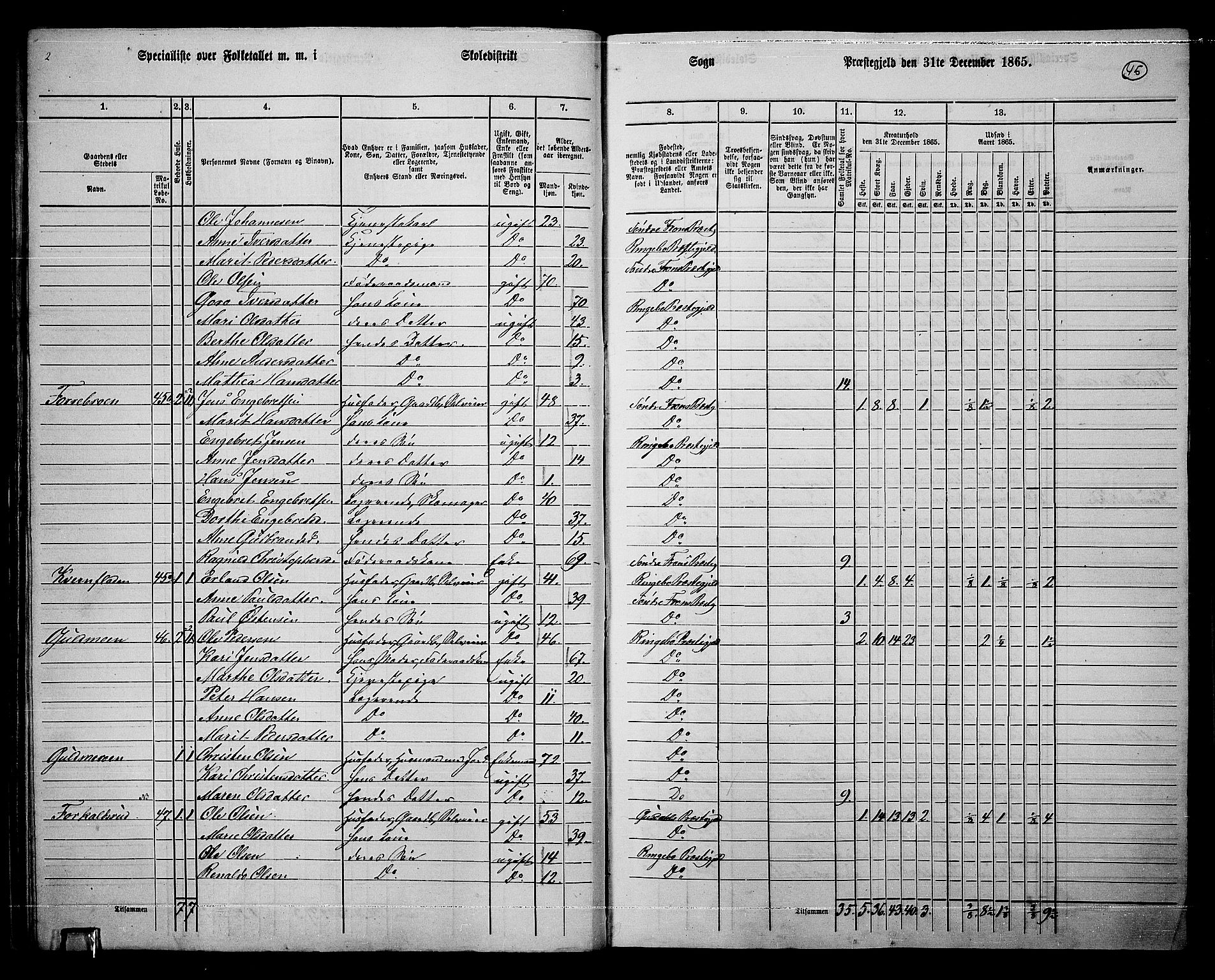 RA, 1865 census for Ringebu, 1865, p. 36
