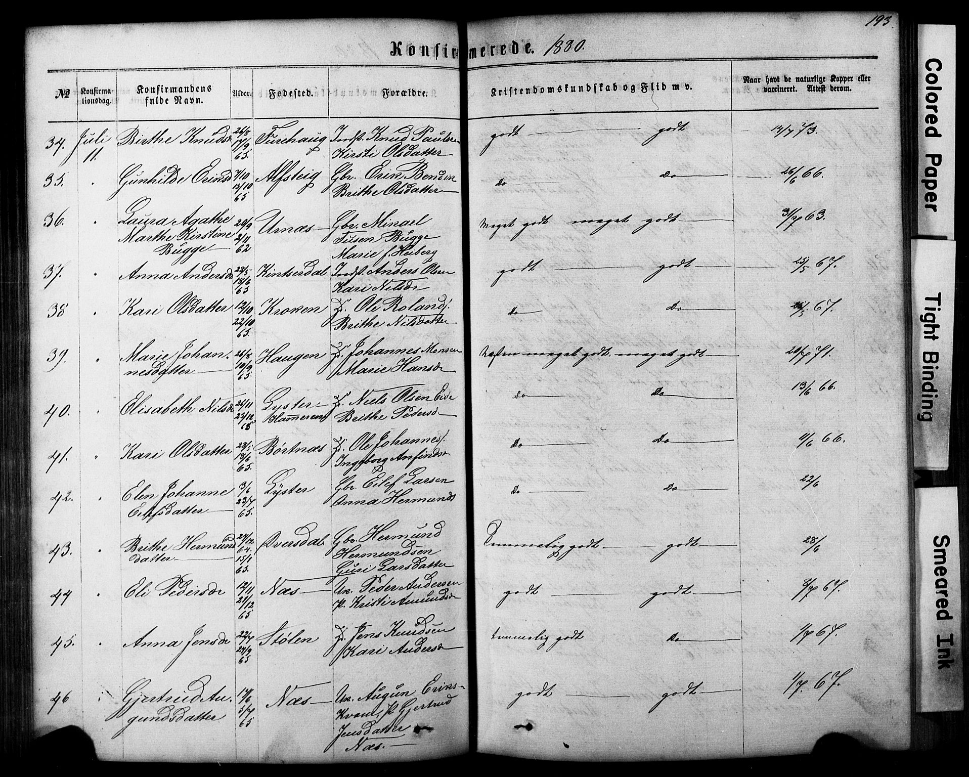 Hafslo sokneprestembete, AV/SAB-A-80301/H/Hab/Haba/L0001: Parish register (copy) no. A 1, 1866-1908, p. 193