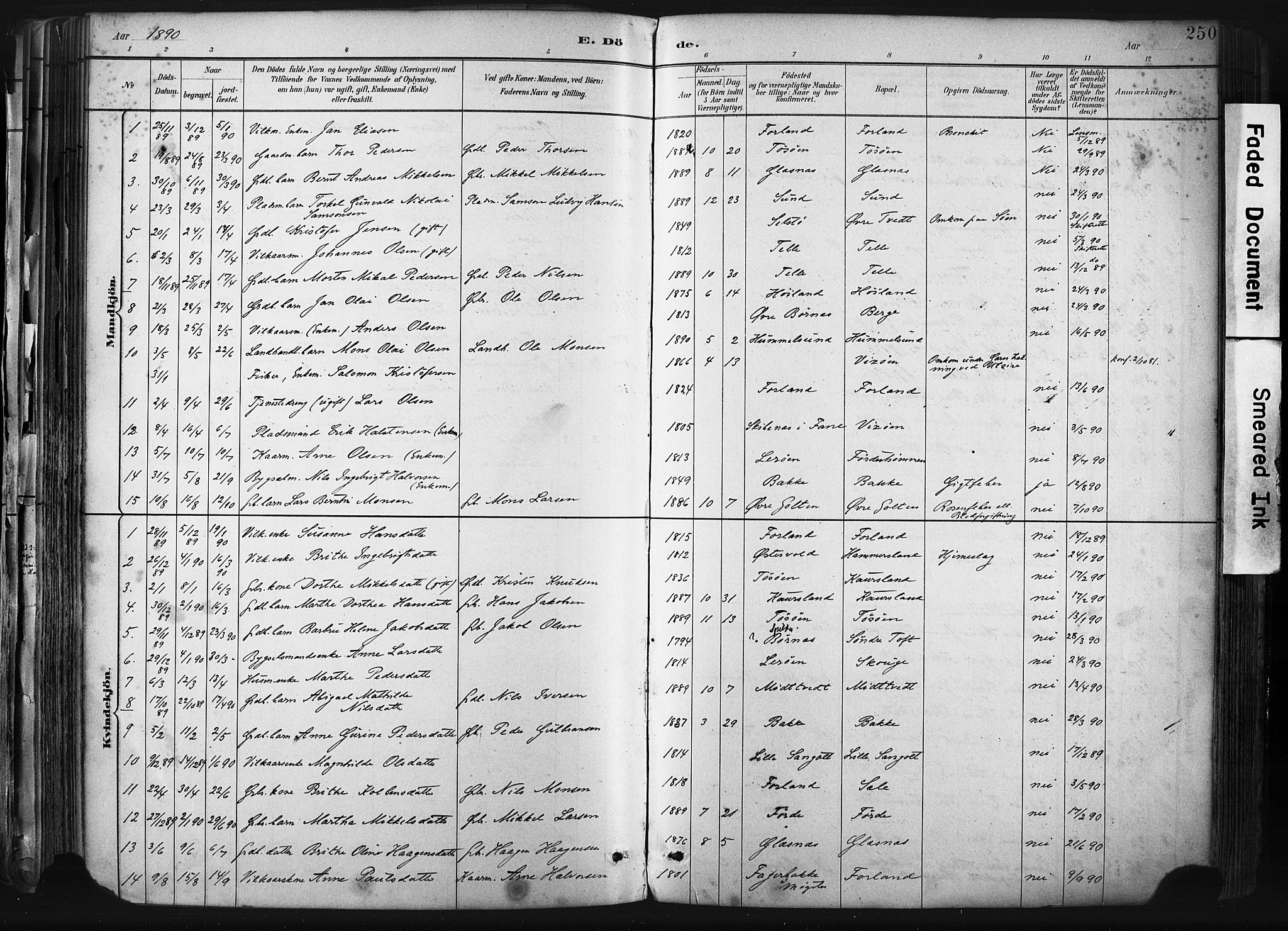 Sund sokneprestembete, SAB/A-99930: Parish register (official) no. B 1, 1882-1907, p. 250