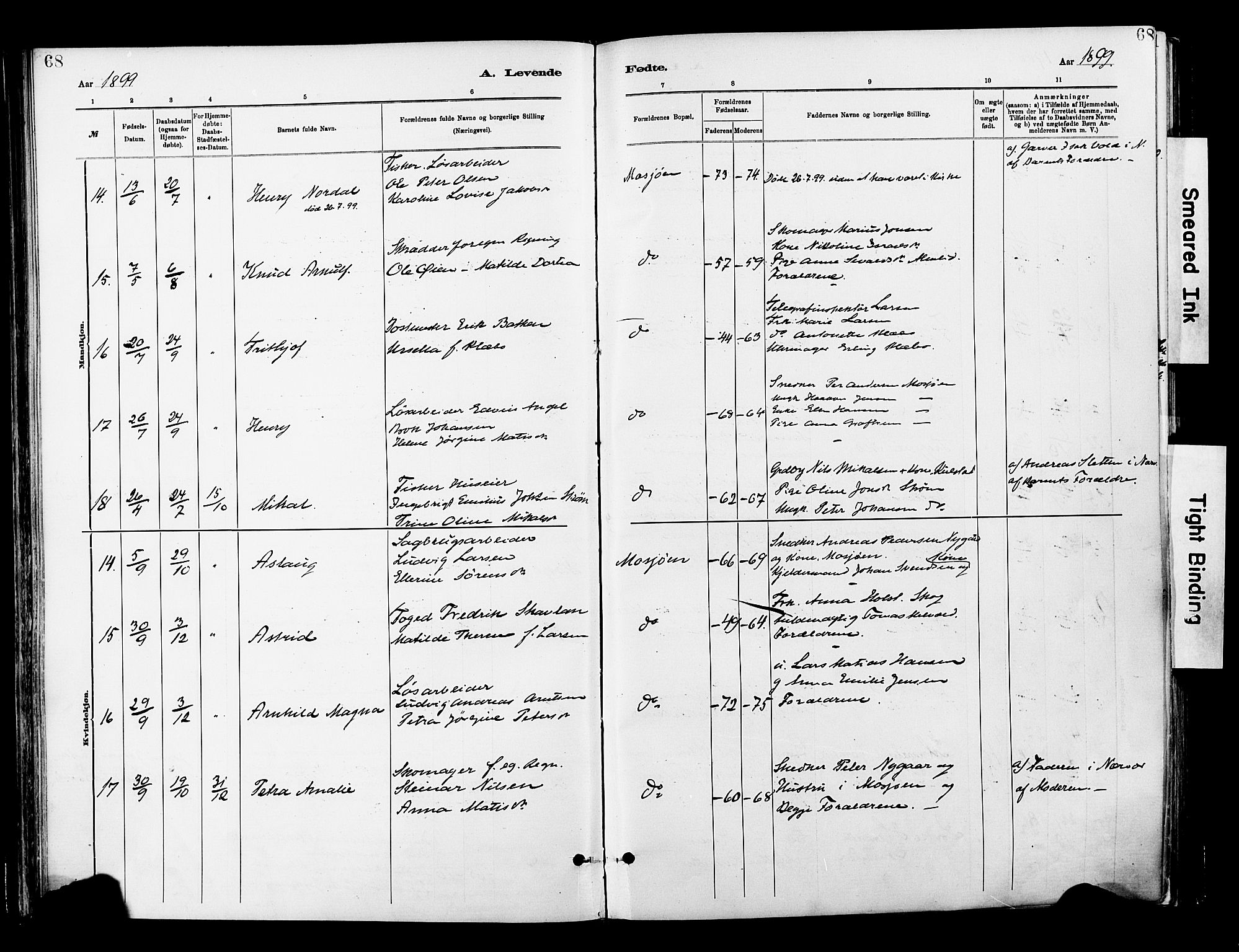 Ministerialprotokoller, klokkerbøker og fødselsregistre - Nordland, SAT/A-1459/820/L0296: Parish register (official) no. 820A17, 1880-1903, p. 68