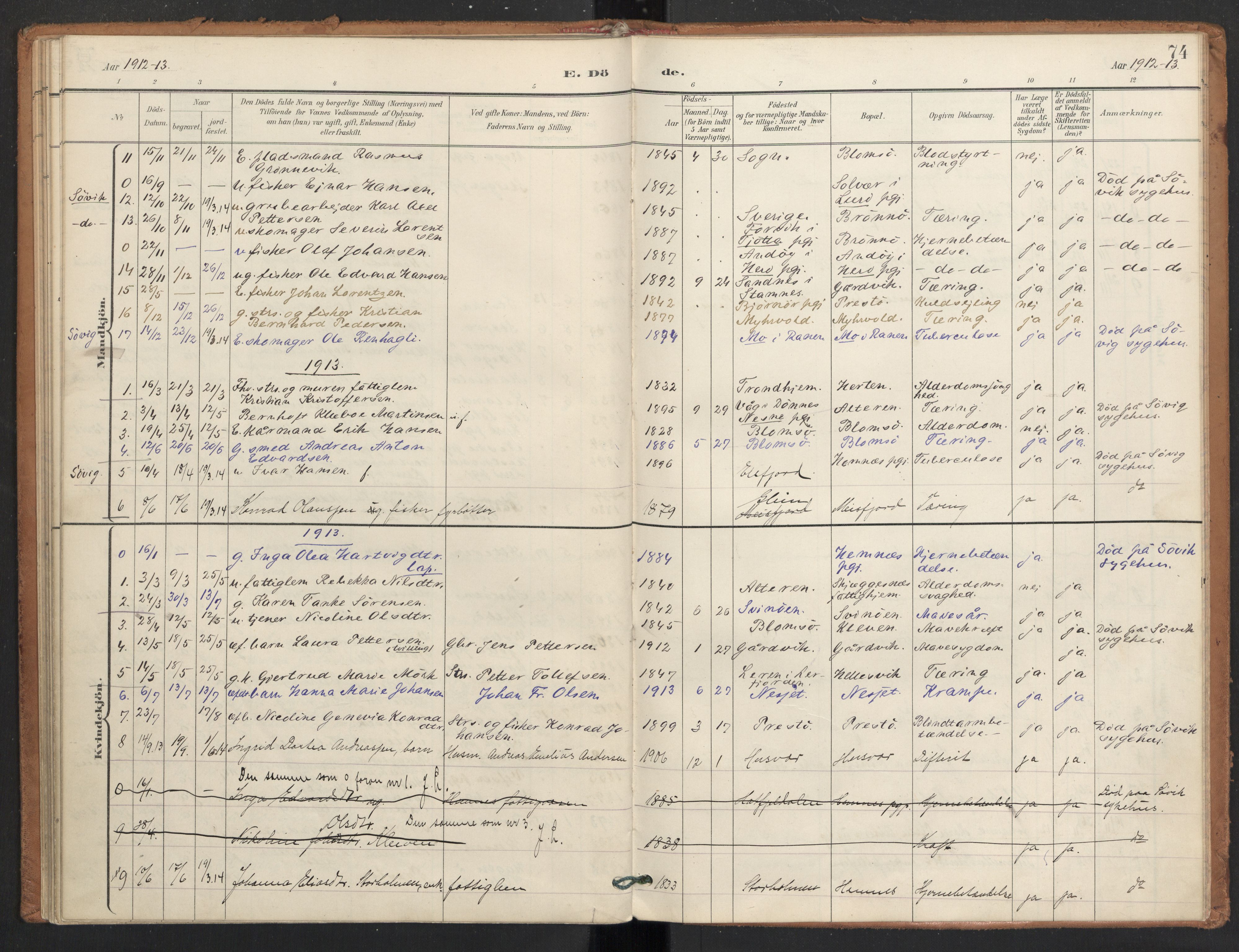 Ministerialprotokoller, klokkerbøker og fødselsregistre - Nordland, SAT/A-1459/830/L0454: Parish register (official) no. 830A18, 1897-1913, p. 74