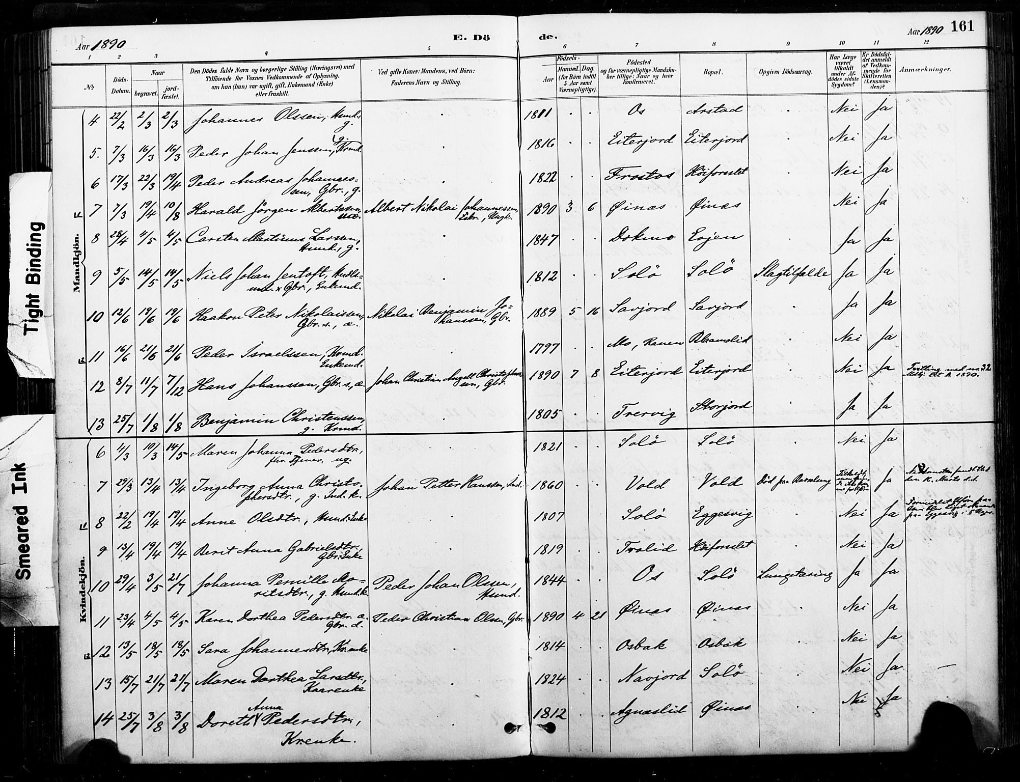 Ministerialprotokoller, klokkerbøker og fødselsregistre - Nordland, AV/SAT-A-1459/846/L0646: Parish register (official) no. 846A04, 1887-1901, p. 161