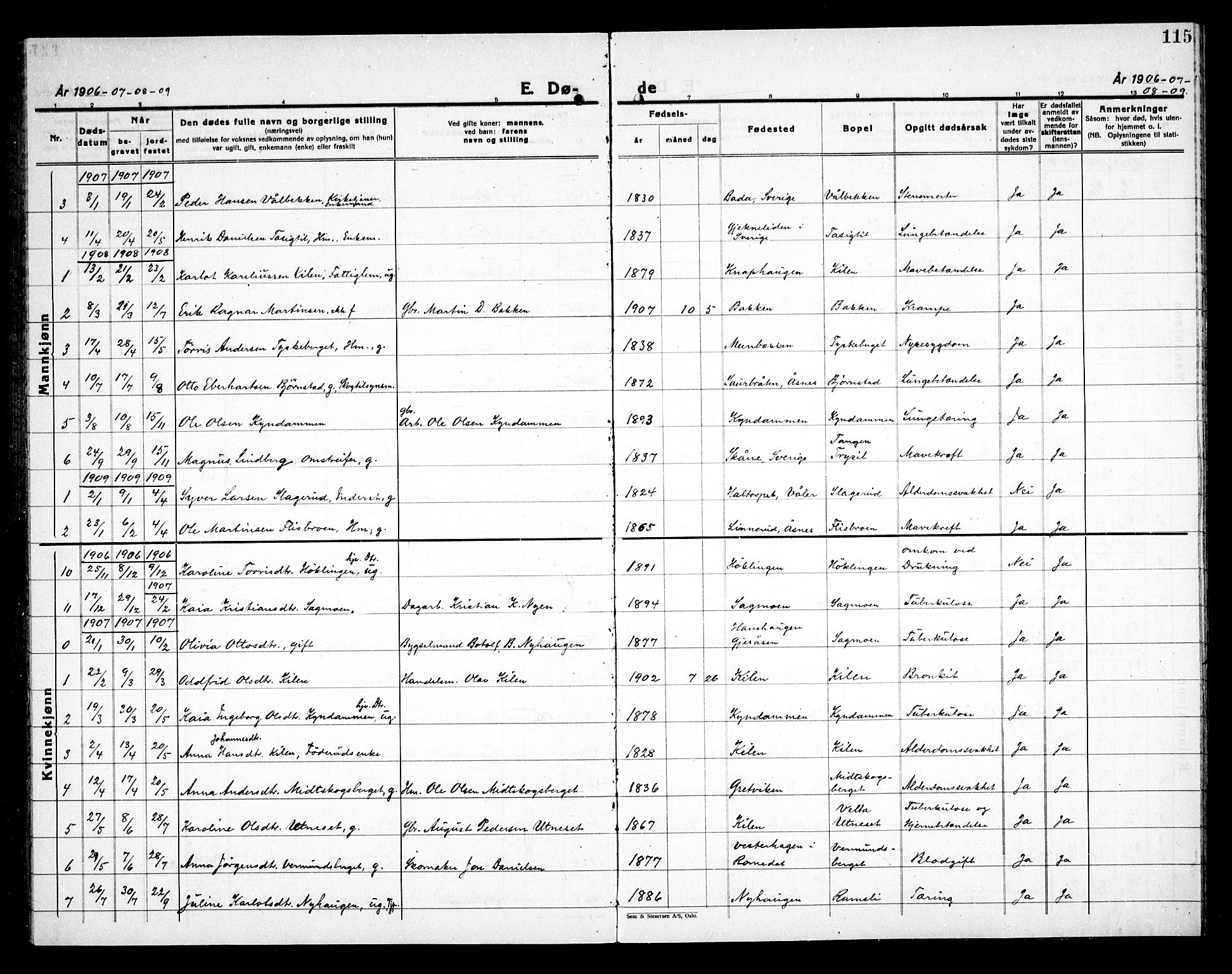 Åsnes prestekontor, AV/SAH-PREST-042/H/Ha/Haa/L0000E: Parish register (official) no. 0C, 1890-1929, p. 115