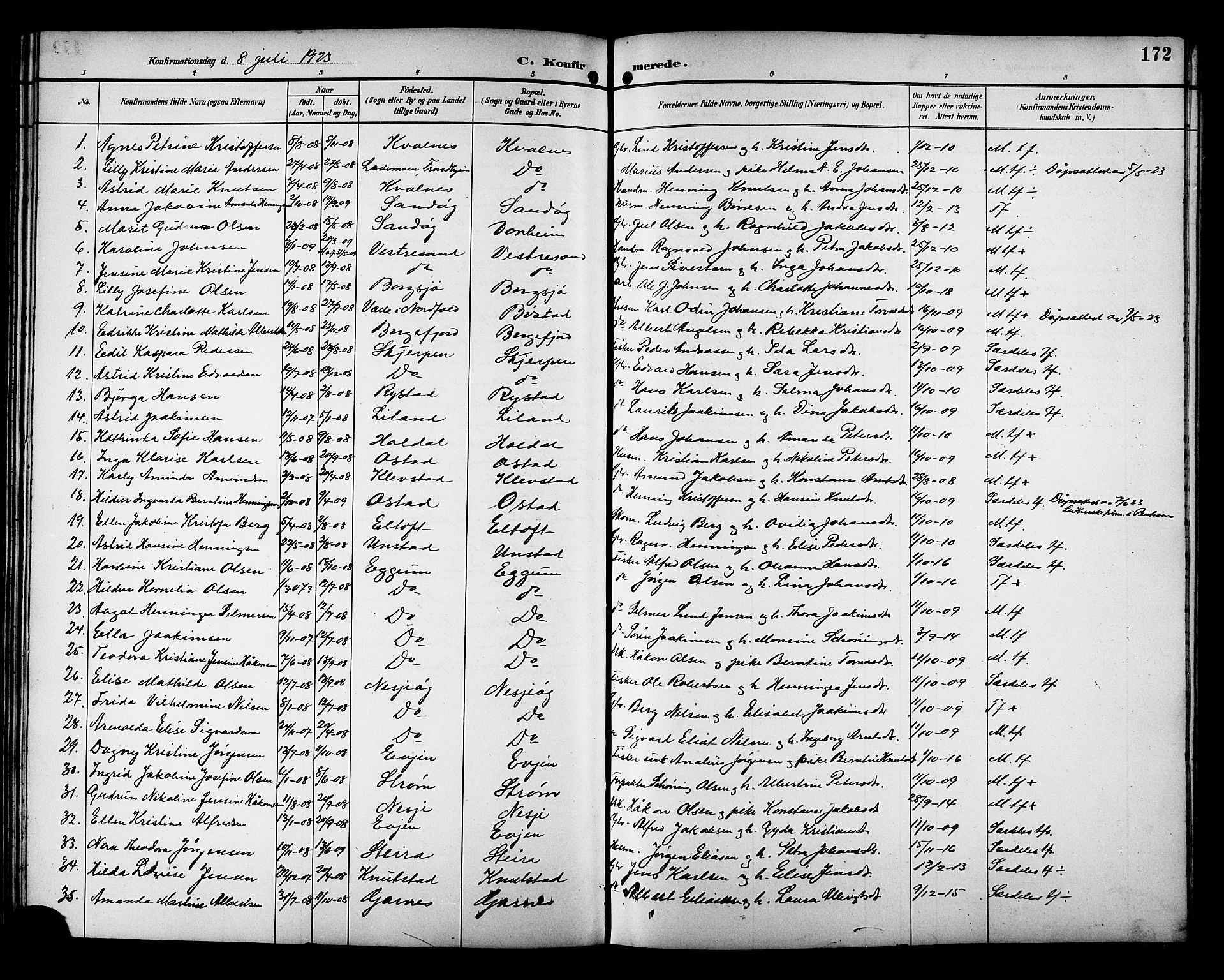 Ministerialprotokoller, klokkerbøker og fødselsregistre - Nordland, SAT/A-1459/880/L1141: Parish register (copy) no. 880C03, 1893-1928, p. 172