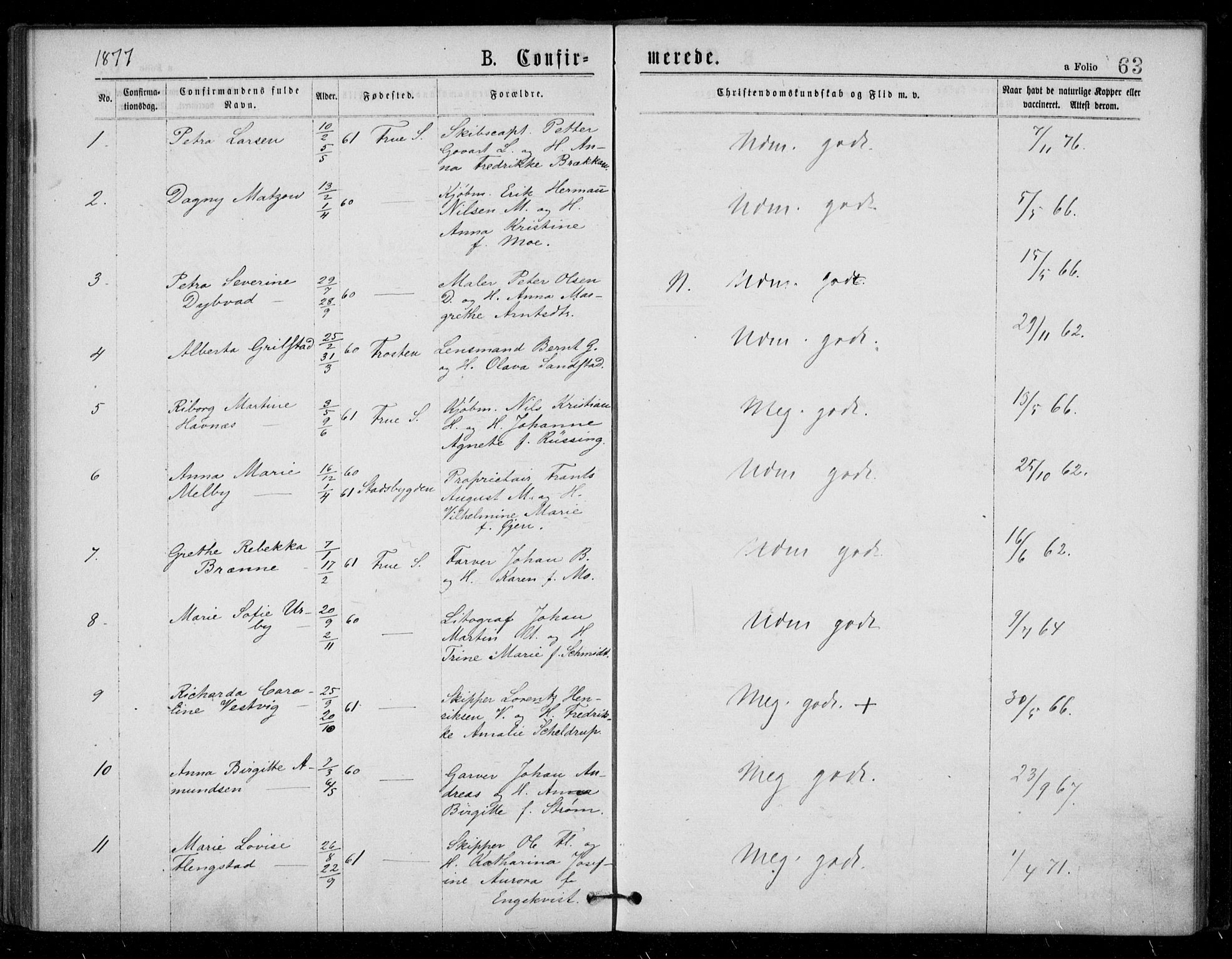 Ministerialprotokoller, klokkerbøker og fødselsregistre - Sør-Trøndelag, AV/SAT-A-1456/602/L0121: Parish register (official) no. 602A19, 1872-1879, p. 63