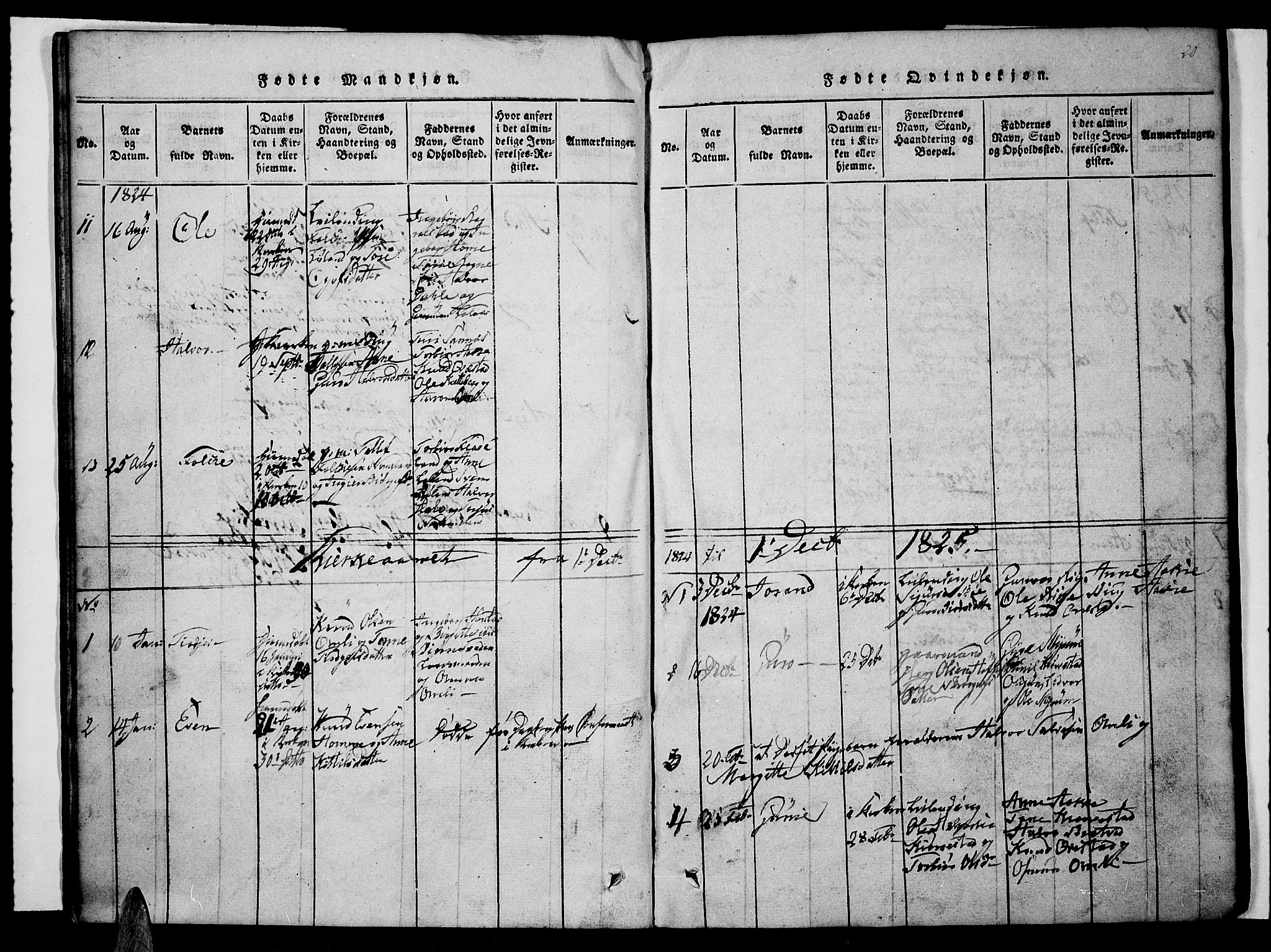 Valle sokneprestkontor, AV/SAK-1111-0044/F/Fb/Fbc/L0001: Parish register (copy) no. B 1 /1, 1816-1829, p. 20