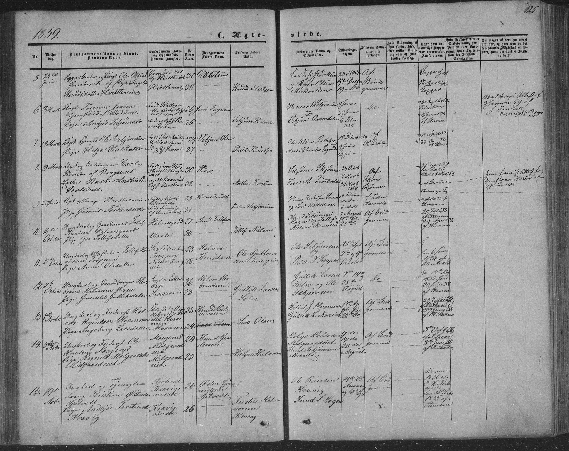 Nore kirkebøker, SAKO/A-238/F/Fa/L0002: Parish register (official) no. I 2, 1856-1871, p. 125