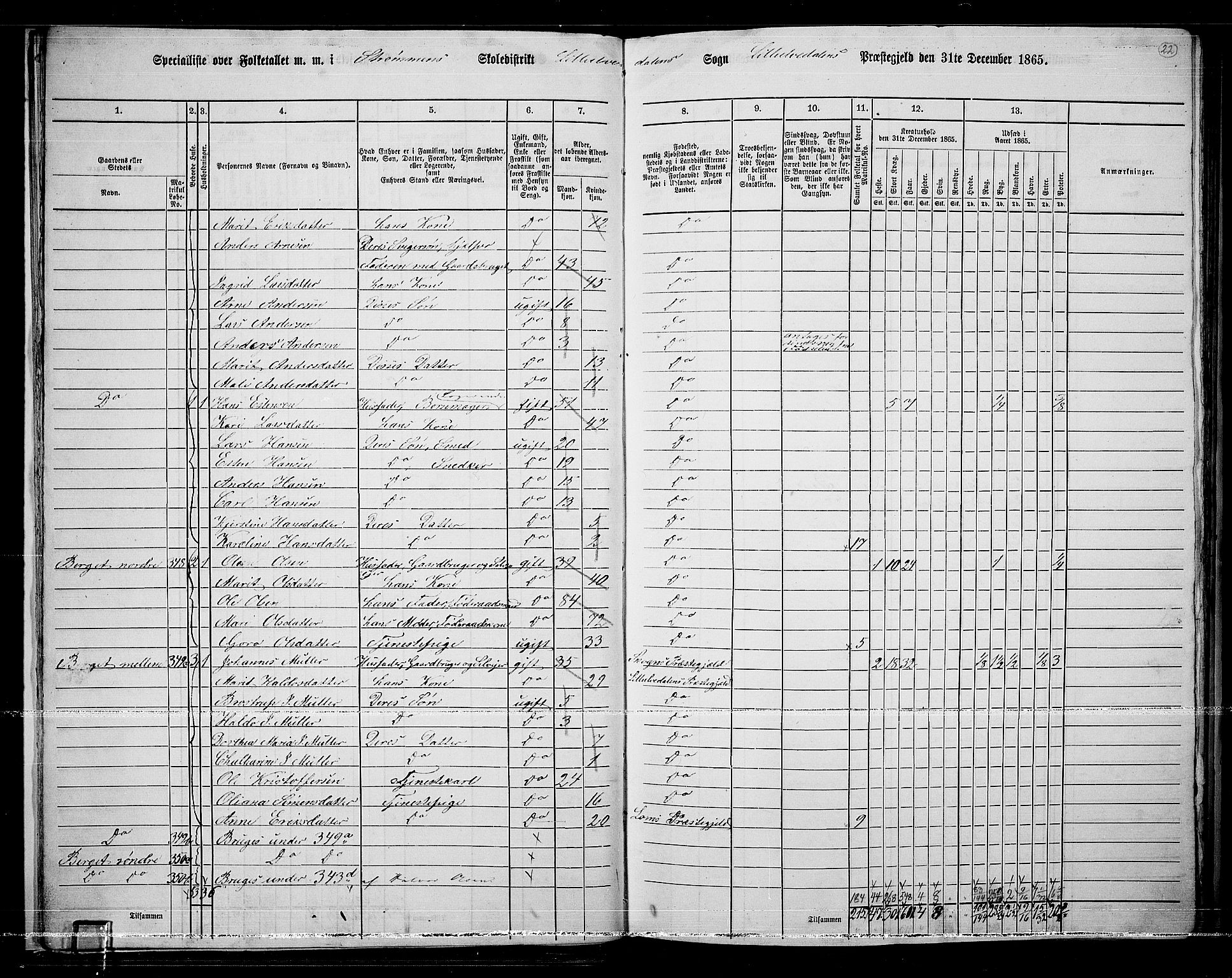RA, 1865 census for Lille Elvedalen, 1865, p. 21