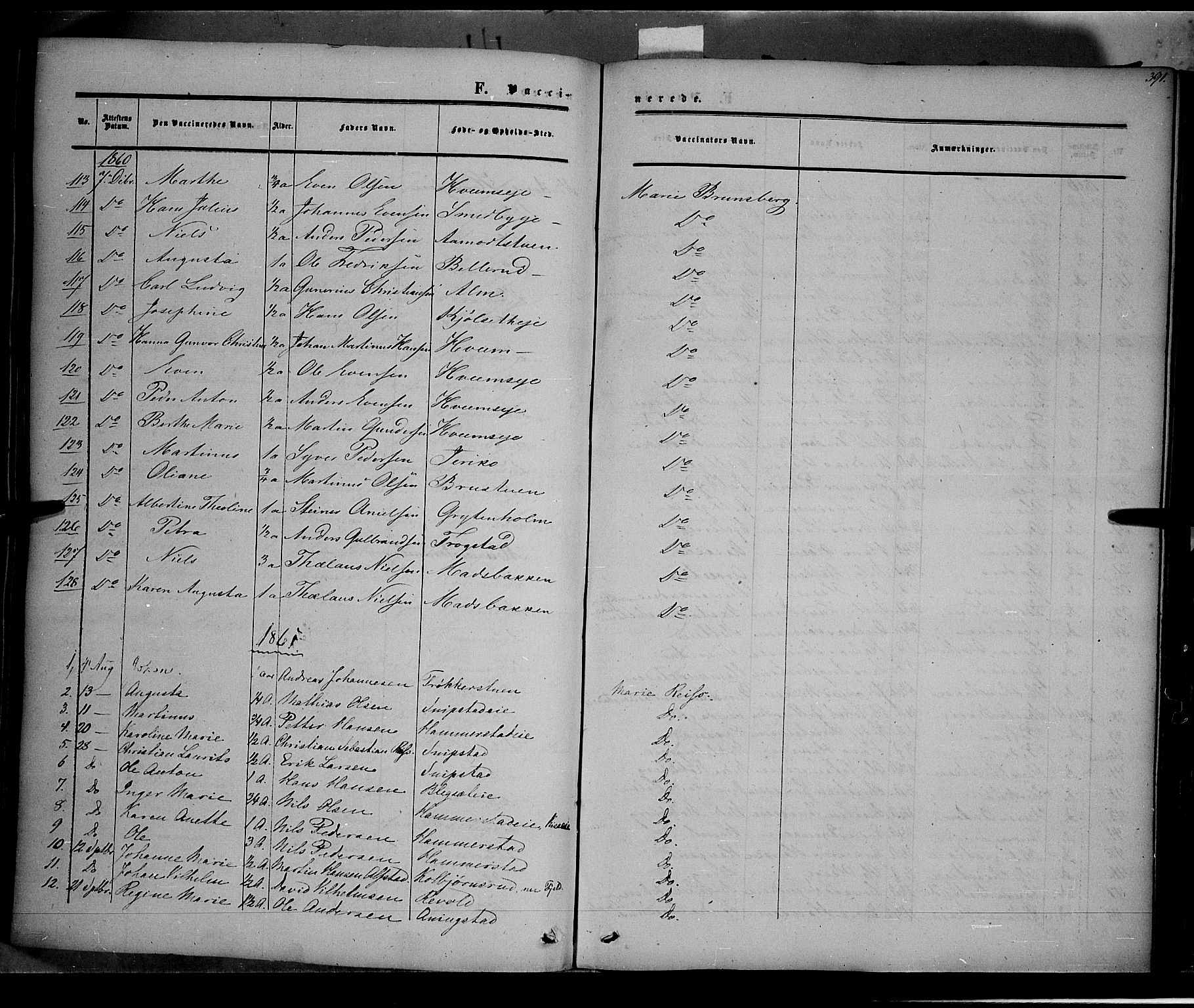 Østre Toten prestekontor, SAH/PREST-104/H/Ha/Haa/L0004: Parish register (official) no. 4, 1857-1865, p. 391