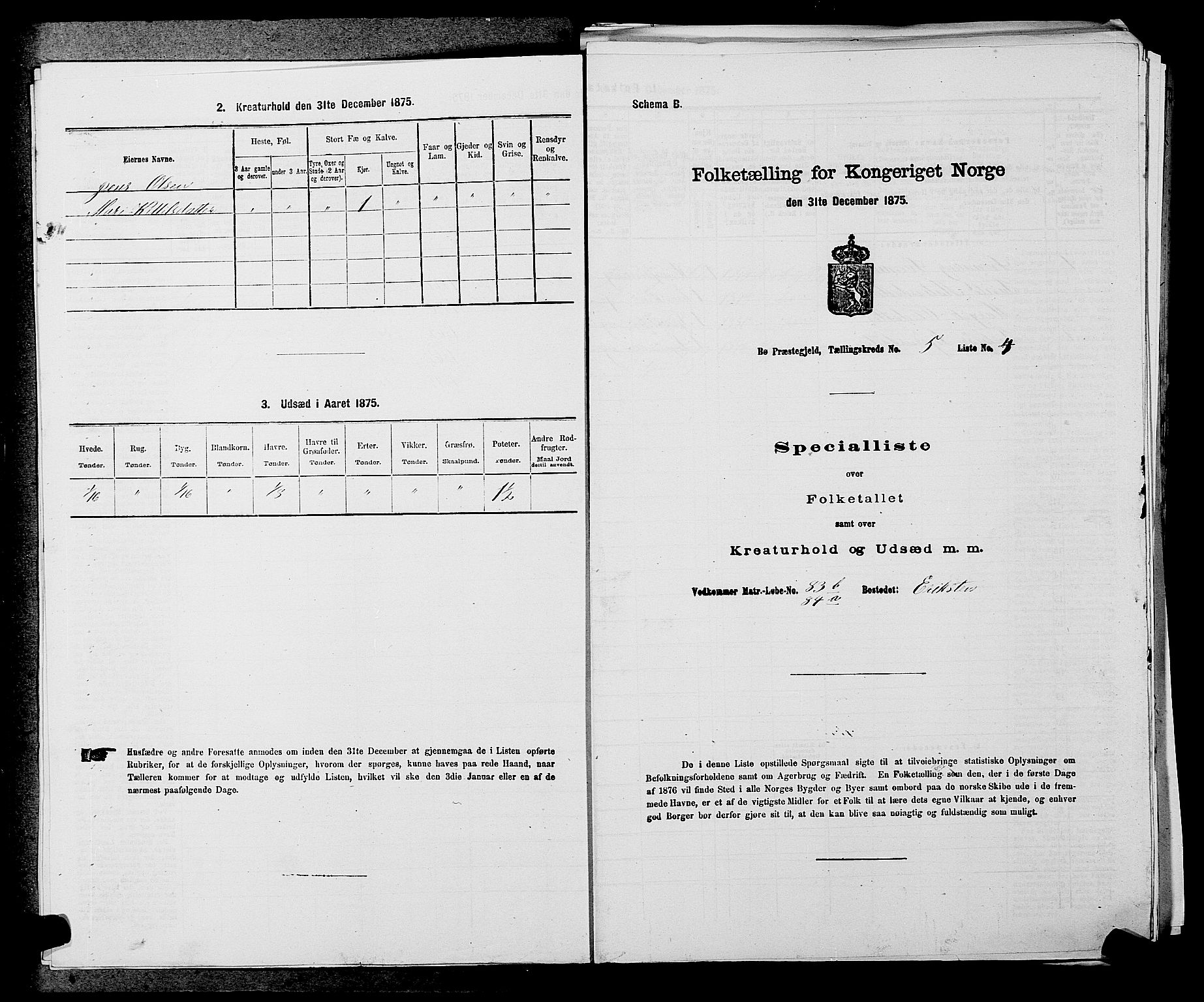 SAKO, 1875 census for 0821P Bø, 1875, p. 604