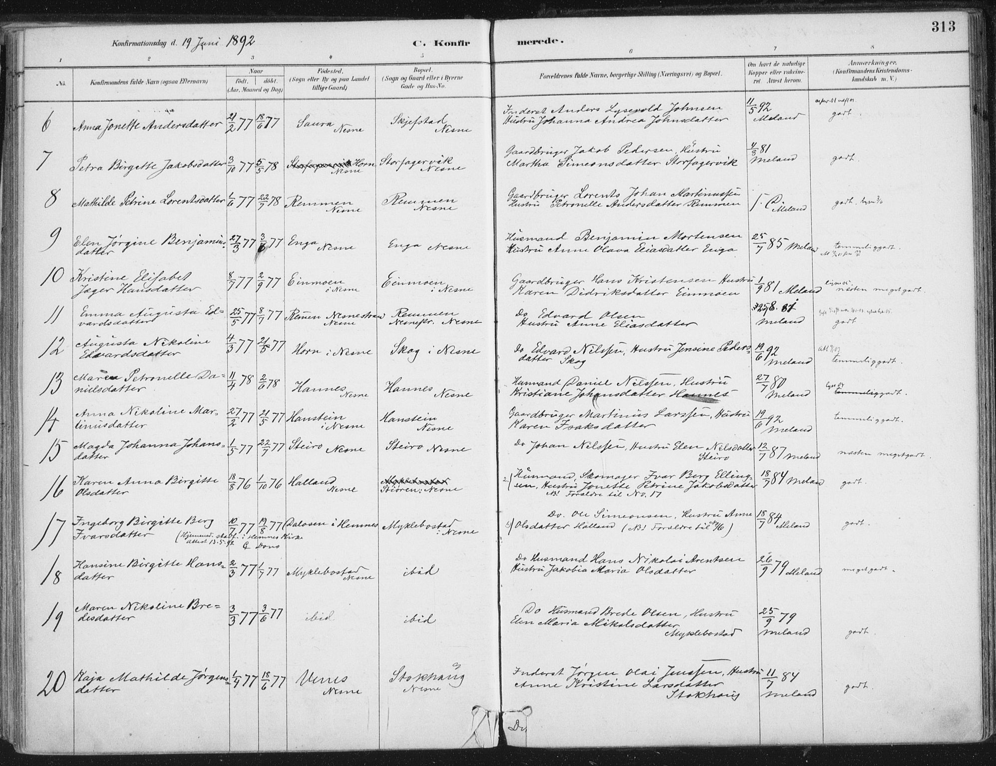 Ministerialprotokoller, klokkerbøker og fødselsregistre - Nordland, AV/SAT-A-1459/838/L0552: Parish register (official) no. 838A10, 1880-1910, p. 313