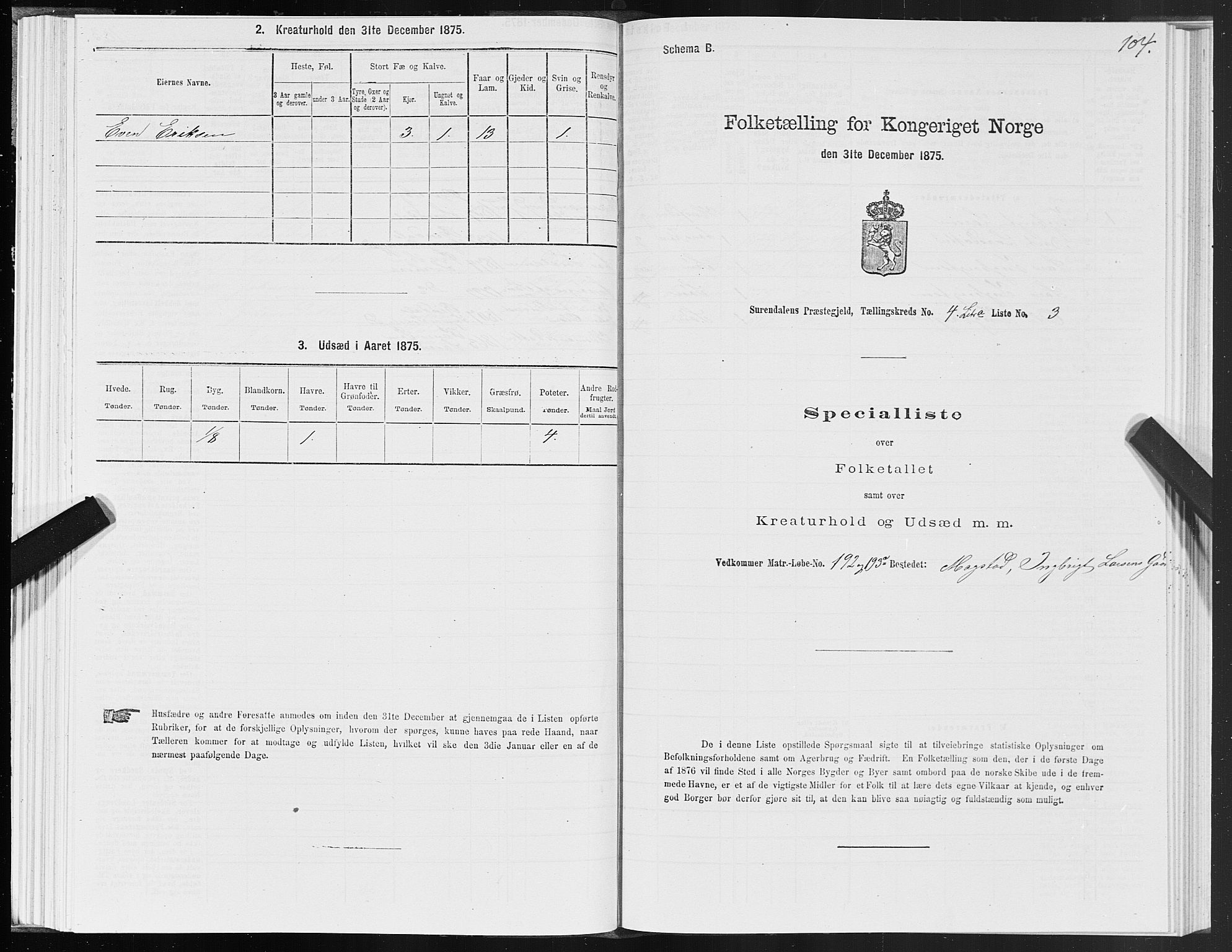 SAT, 1875 census for 1566P Surnadal, 1875, p. 2104