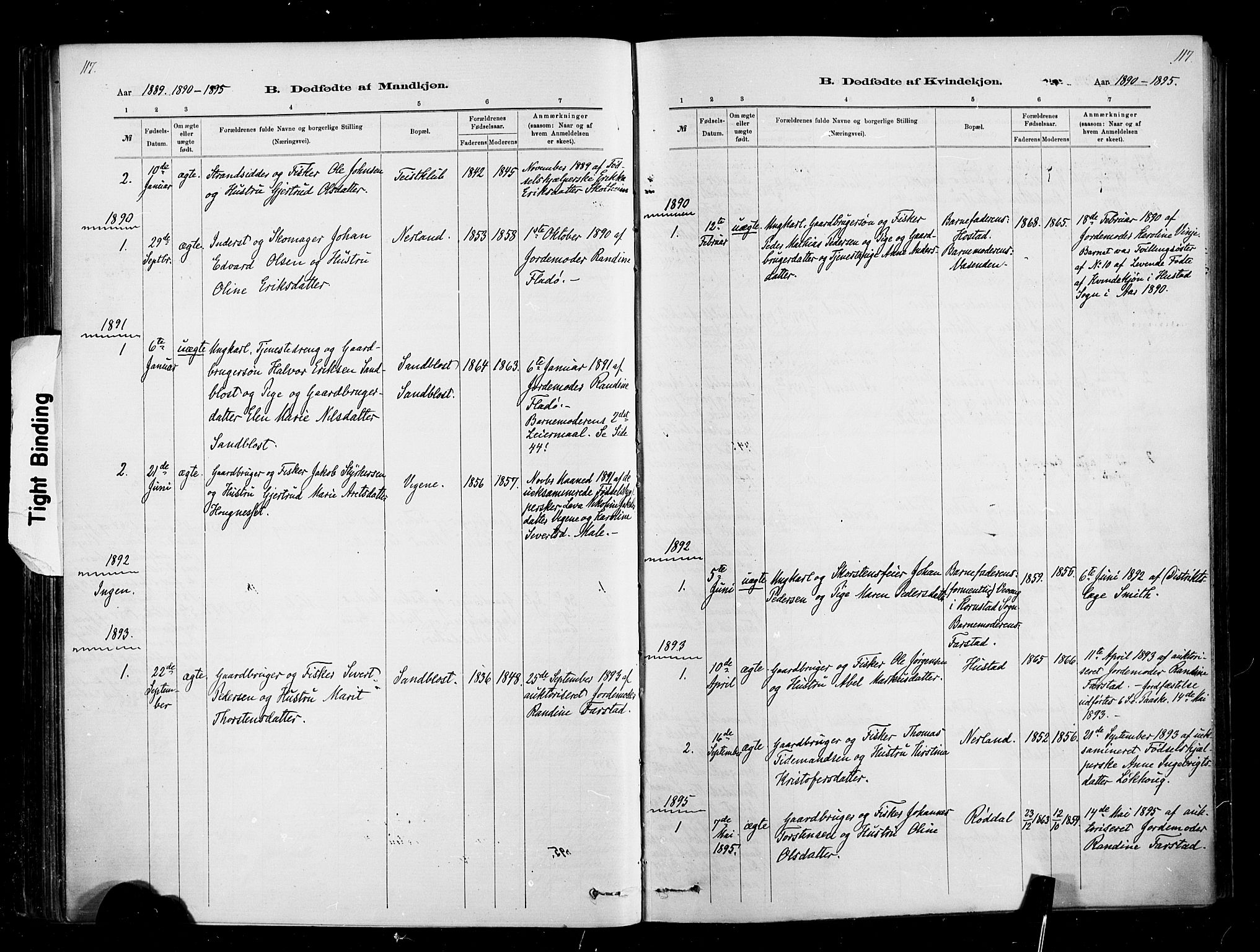 Ministerialprotokoller, klokkerbøker og fødselsregistre - Møre og Romsdal, AV/SAT-A-1454/567/L0778: Parish register (official) no. 567A01, 1881-1903, p. 117