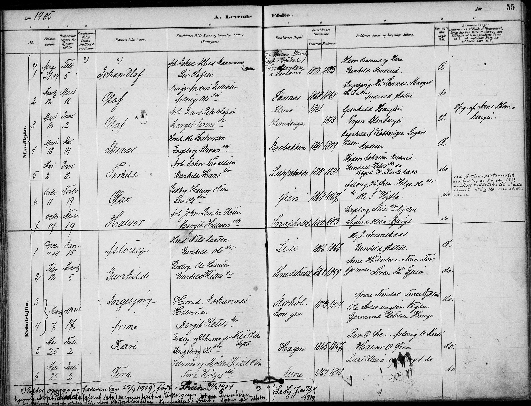 Hjartdal kirkebøker, AV/SAKO-A-270/F/Fb/L0002: Parish register (official) no. II 2, 1880-1932, p. 55