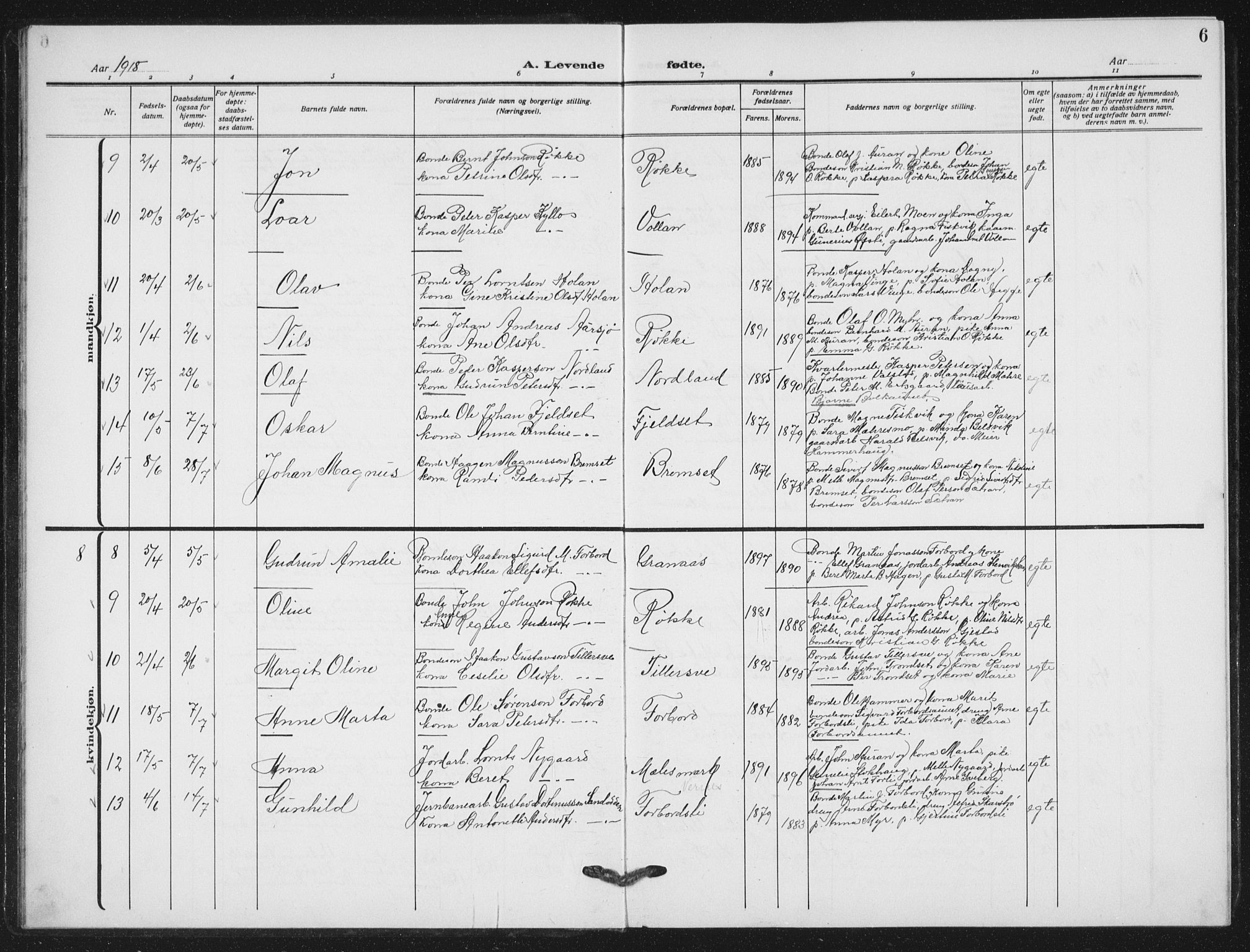 Ministerialprotokoller, klokkerbøker og fødselsregistre - Nord-Trøndelag, AV/SAT-A-1458/712/L0104: Parish register (copy) no. 712C02, 1917-1939, p. 6