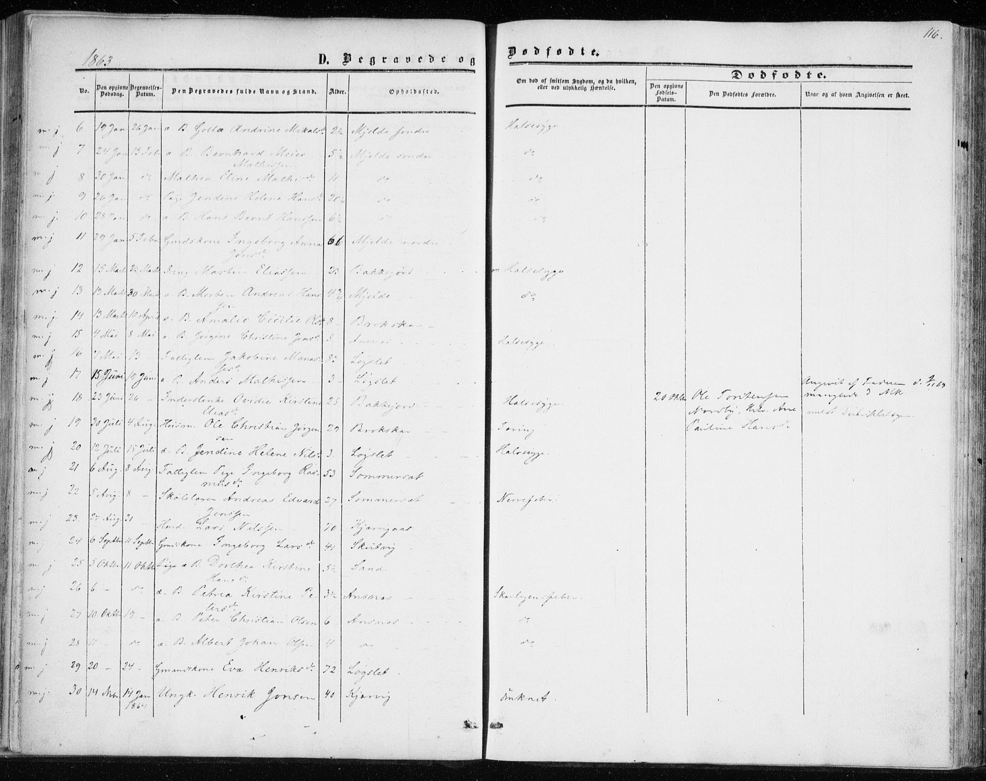 Balsfjord sokneprestembete, SATØ/S-1303/G/Ga/L0001kirke: Parish register (official) no. 1, 1858-1870, p. 116
