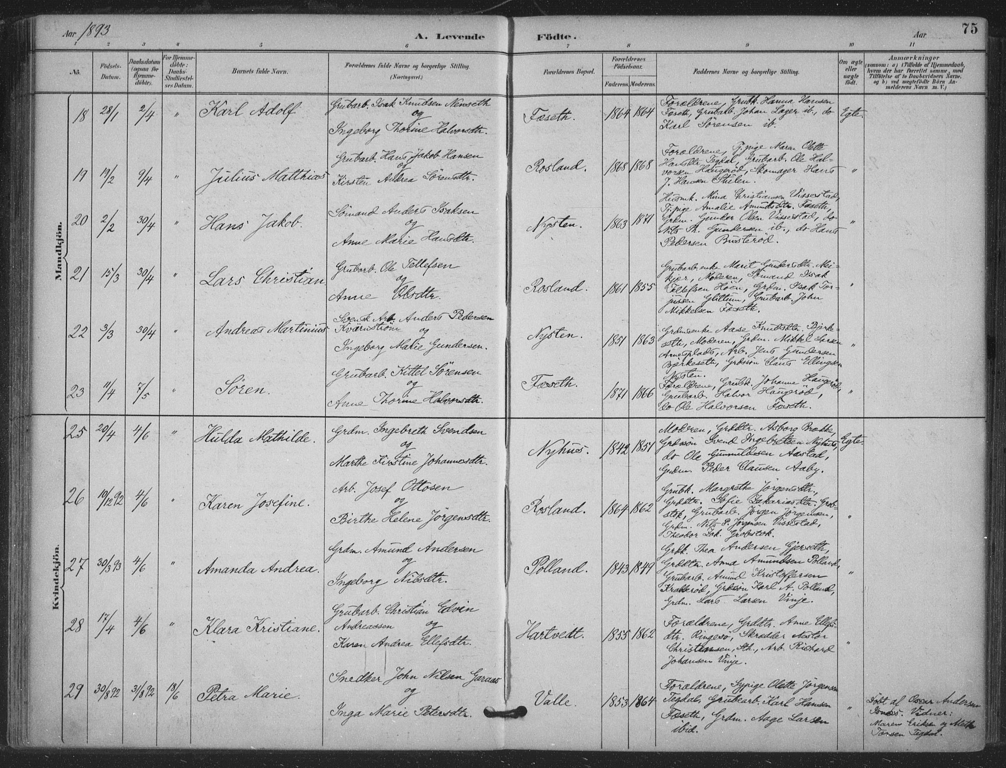 Bamble kirkebøker, AV/SAKO-A-253/F/Fa/L0008: Parish register (official) no. I 8, 1888-1900, p. 75