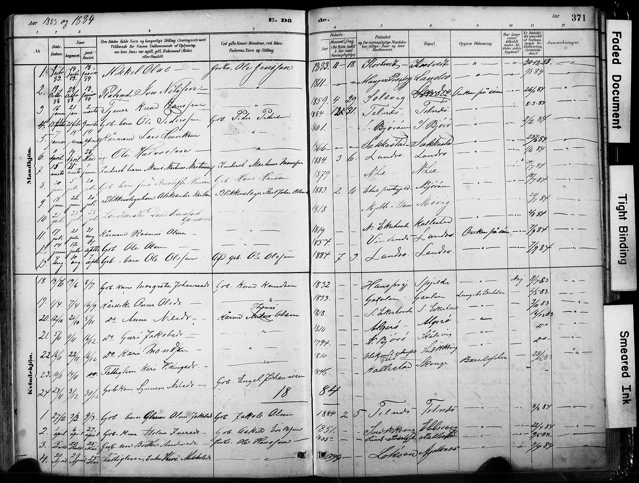 Fjell sokneprestembete, SAB/A-75301/H/Hab: Parish register (copy) no. A 4, 1880-1899, p. 371