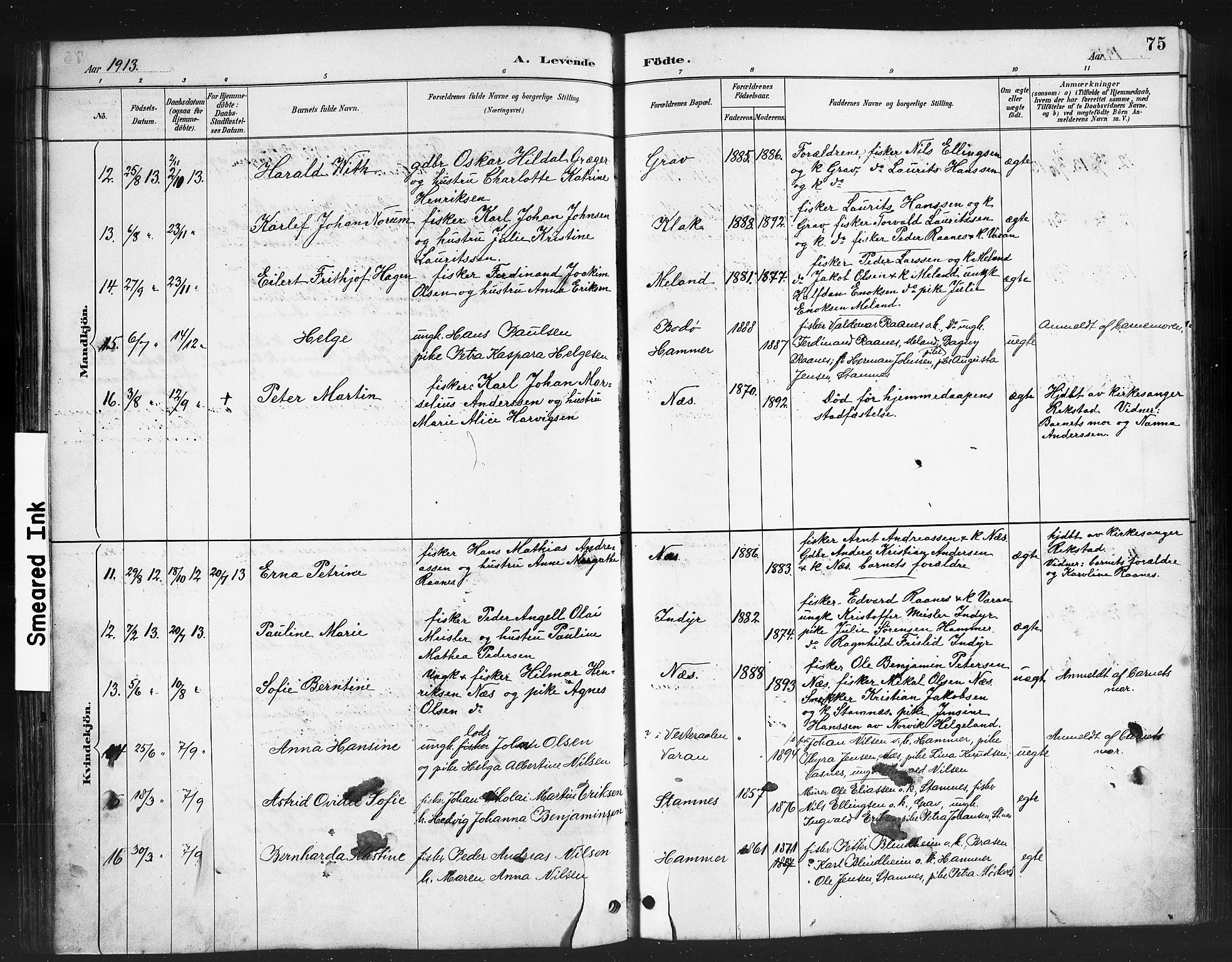 Ministerialprotokoller, klokkerbøker og fødselsregistre - Nordland, AV/SAT-A-1459/808/L0131: Parish register (copy) no. 808C02, 1879-1919, p. 75