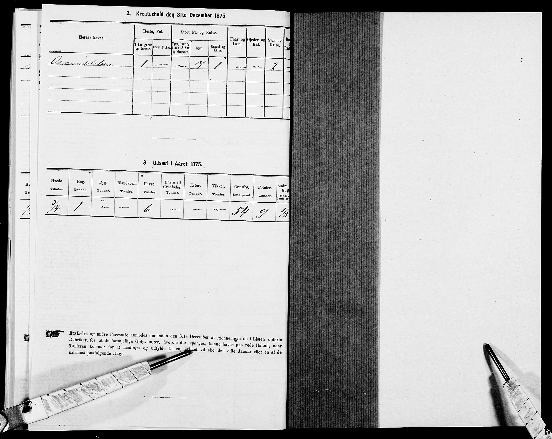 SAK, 1875 census for 1013P Tveit, 1875, p. 501