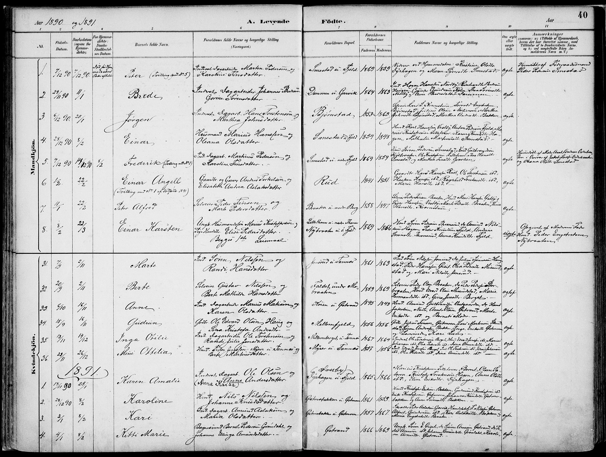 Nord-Odal prestekontor, AV/SAH-PREST-032/H/Ha/Haa/L0008: Parish register (official) no. 8, 1886-1901, p. 40