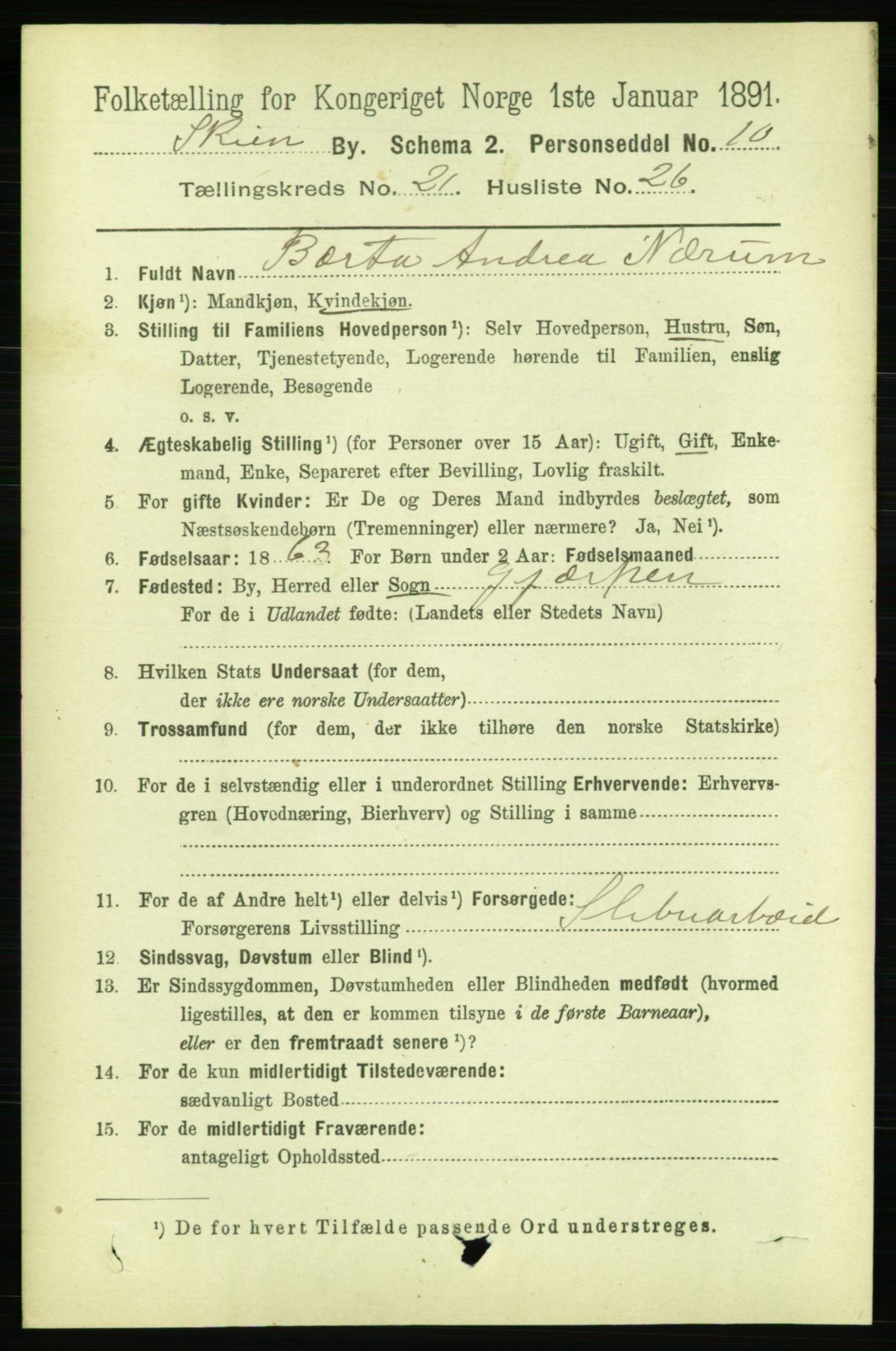 RA, 1891 census for 0806 Skien, 1891, p. 5664