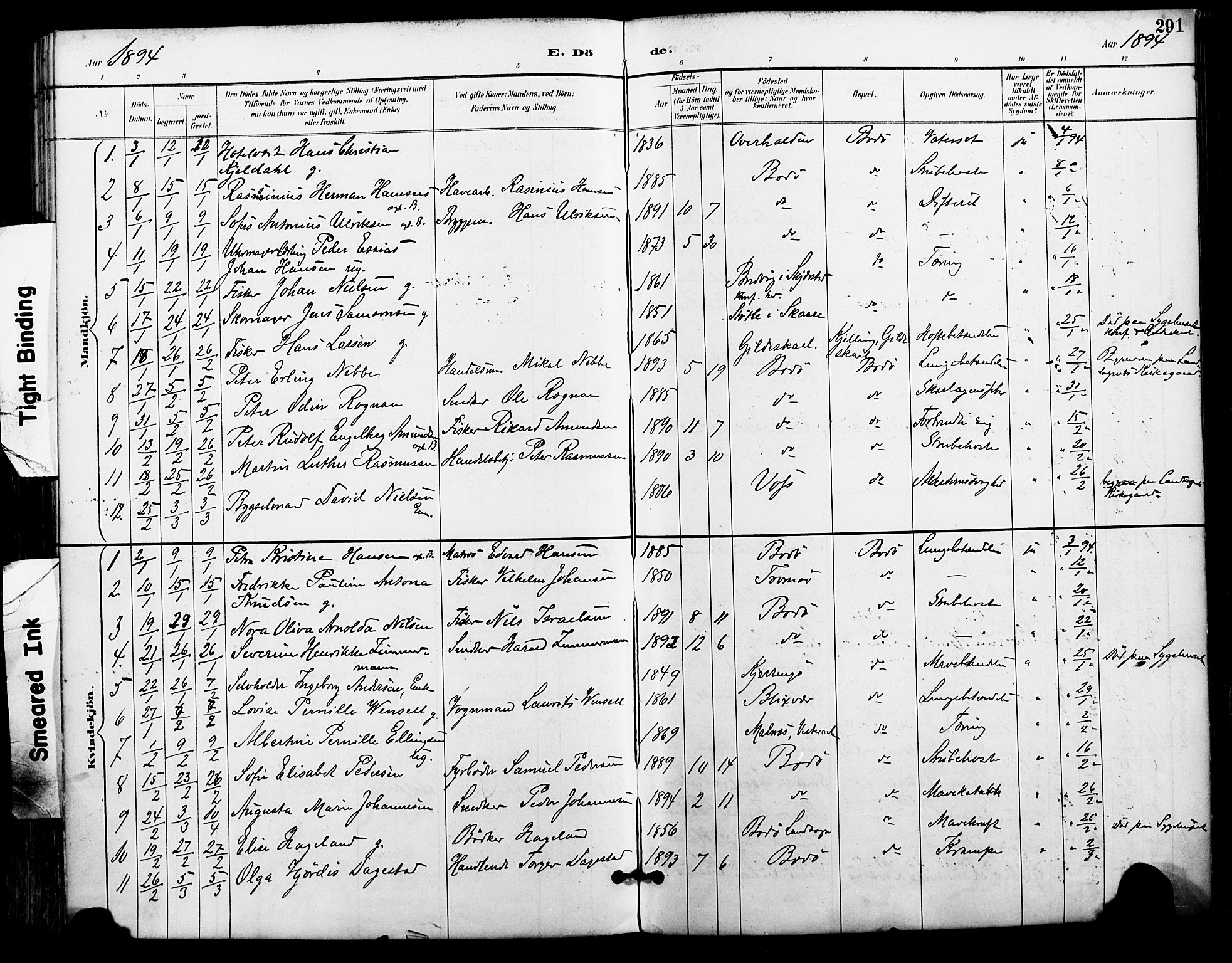 Ministerialprotokoller, klokkerbøker og fødselsregistre - Nordland, SAT/A-1459/801/L0010: Parish register (official) no. 801A10, 1888-1899, p. 291