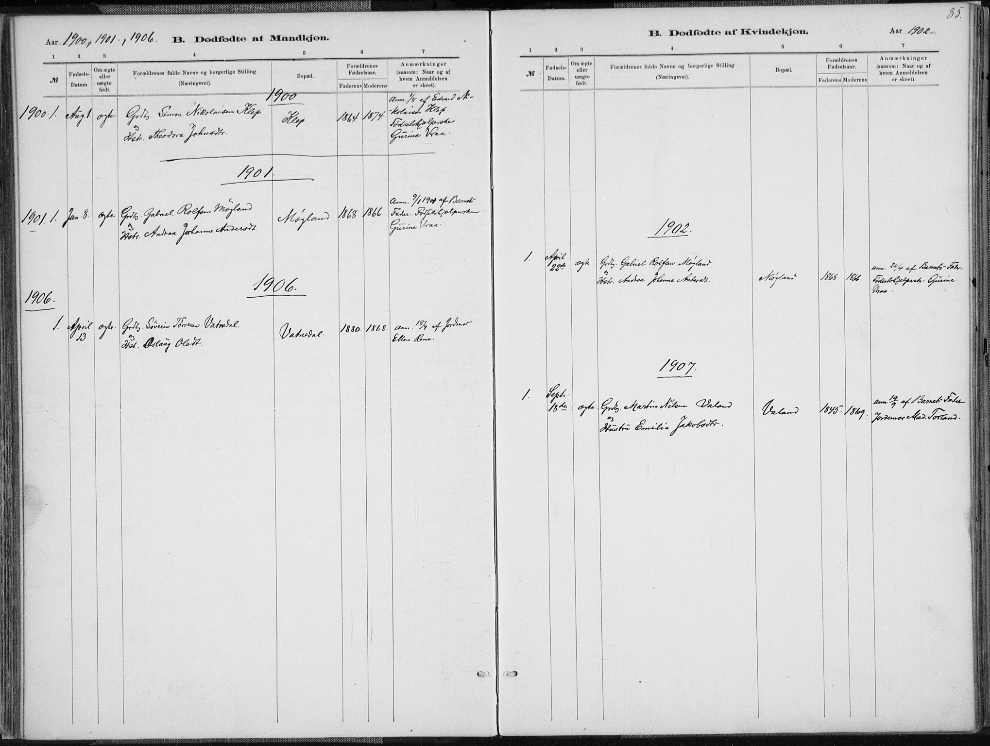 Holum sokneprestkontor, SAK/1111-0022/F/Fa/Faa/L0007: Parish register (official) no. A 7, 1884-1907, p. 85