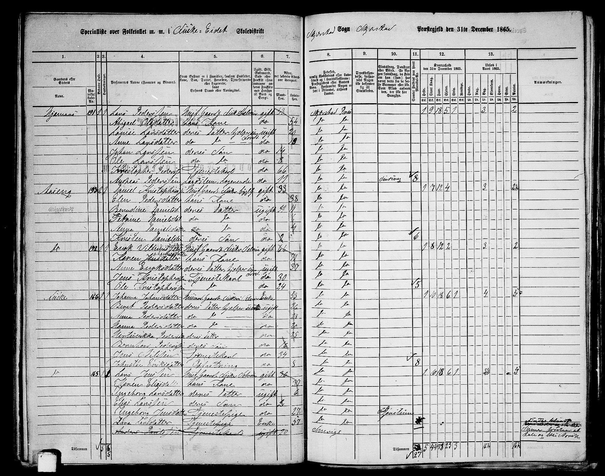 RA, 1865 census for Skjerstad, 1865, p. 102