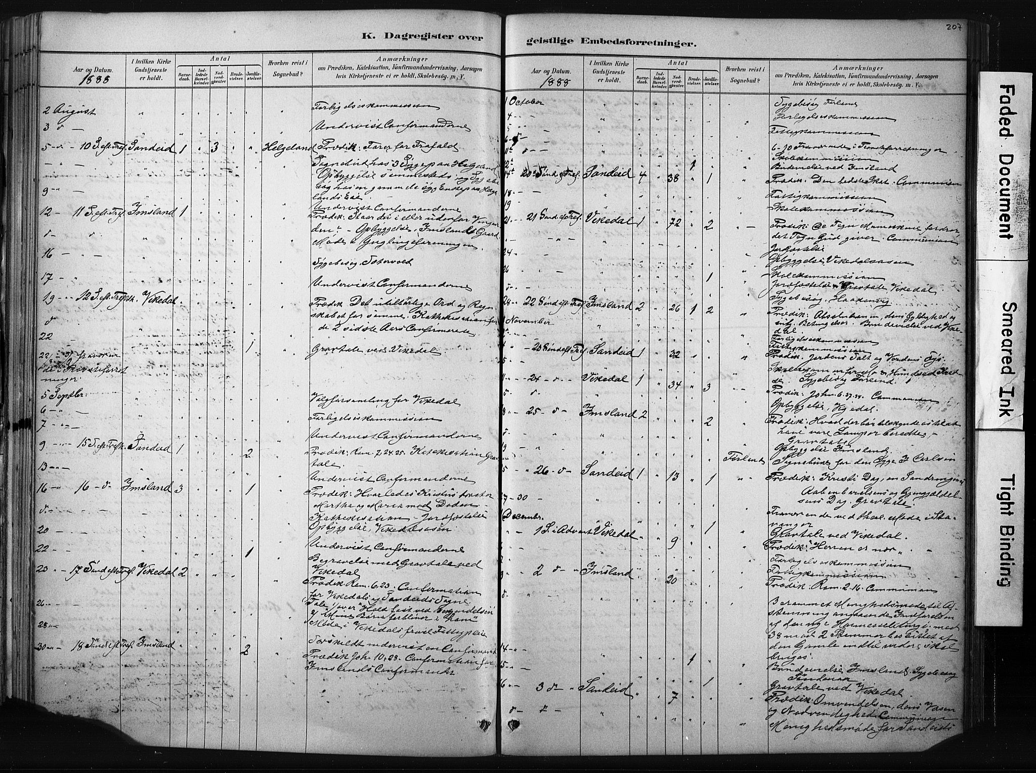 Vikedal sokneprestkontor, AV/SAST-A-101840/01/IV: Parish register (official) no. A 10, 1884-1907, p. 207