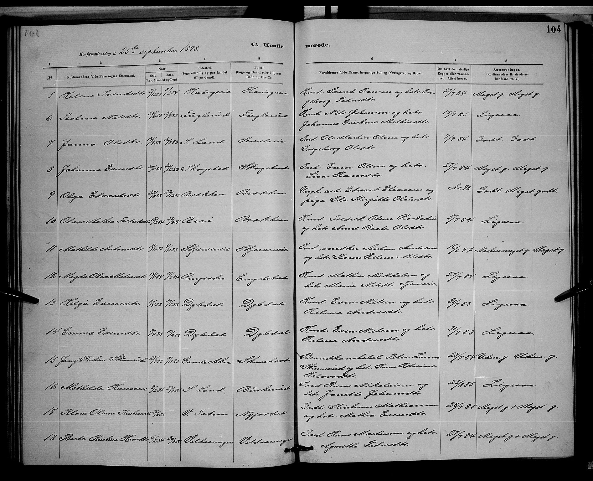 Vardal prestekontor, SAH/PREST-100/H/Ha/Hab/L0008: Parish register (copy) no. 8, 1881-1898, p. 104