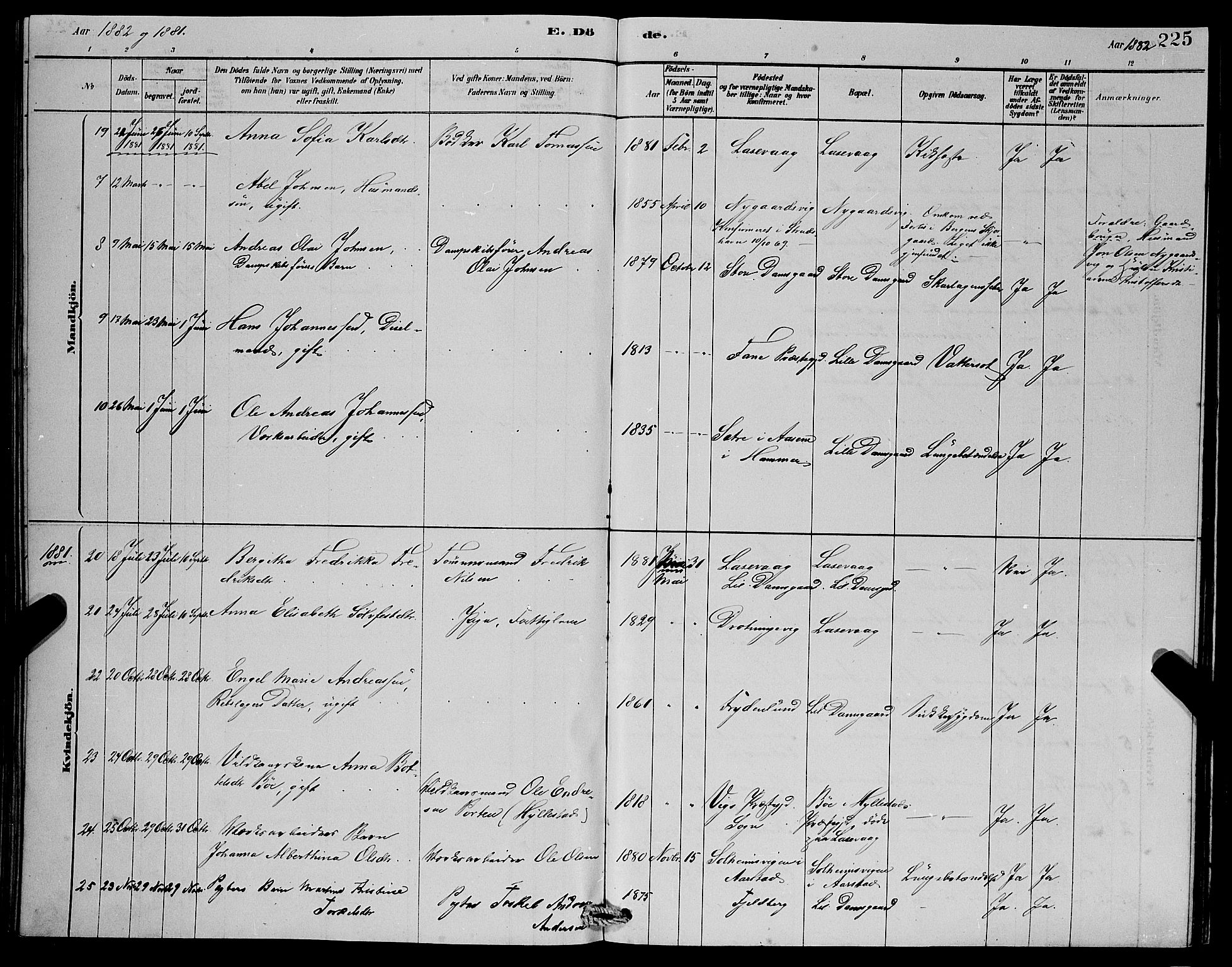 Laksevåg Sokneprestembete, SAB/A-76501/H/Ha/Hab/Haba/L0002: Parish register (copy) no. A 2, 1877-1887, p. 225