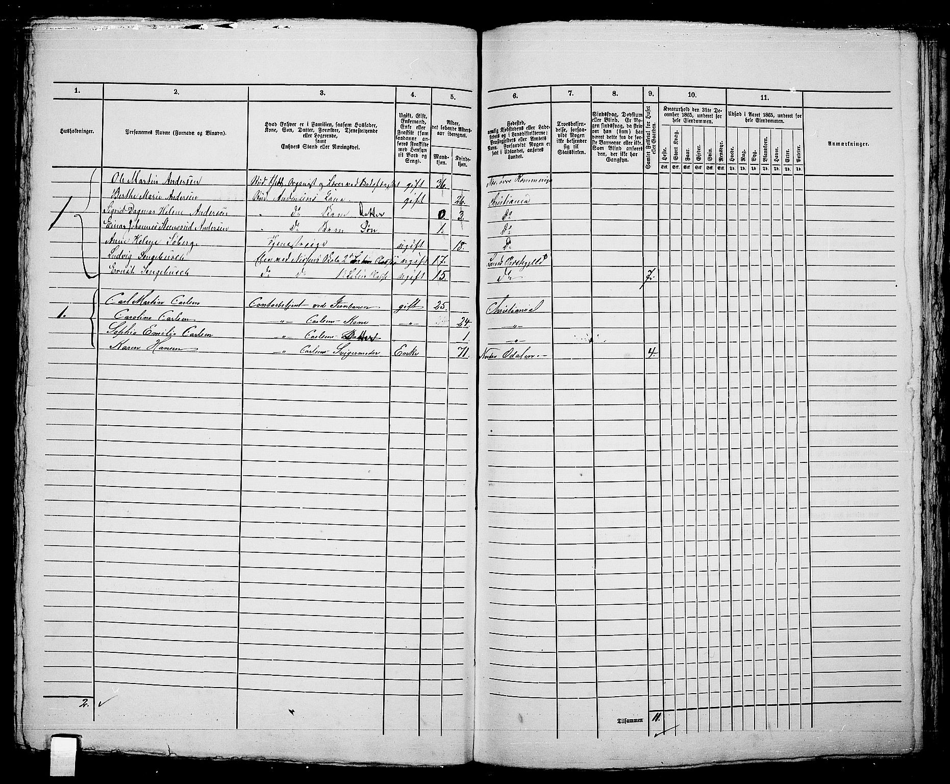 RA, 1865 census for Kristiania, 1865, p. 4339