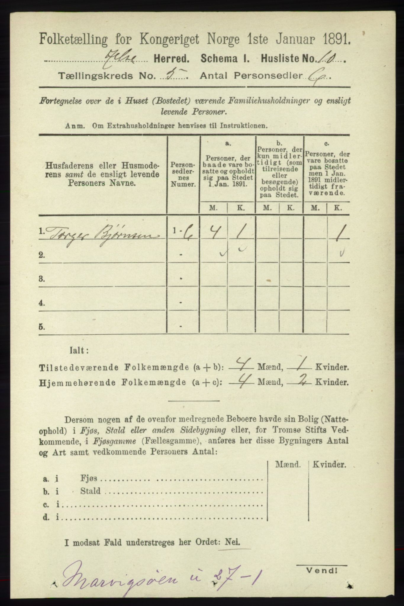 RA, 1891 census for 1138 Jelsa, 1891, p. 1051