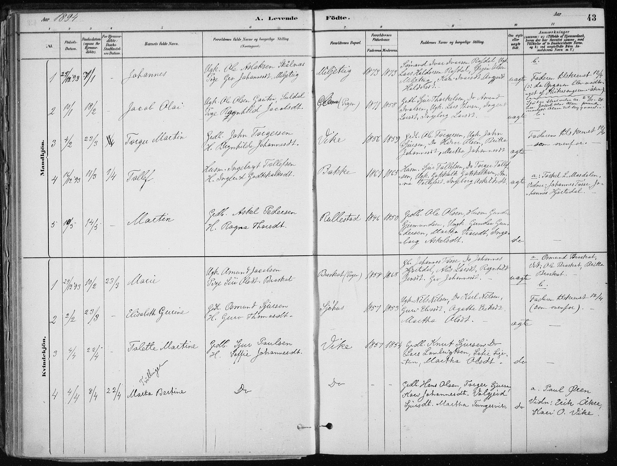 Skånevik sokneprestembete, SAB/A-77801/H/Haa: Parish register (official) no. E  1, 1879-1901, p. 43