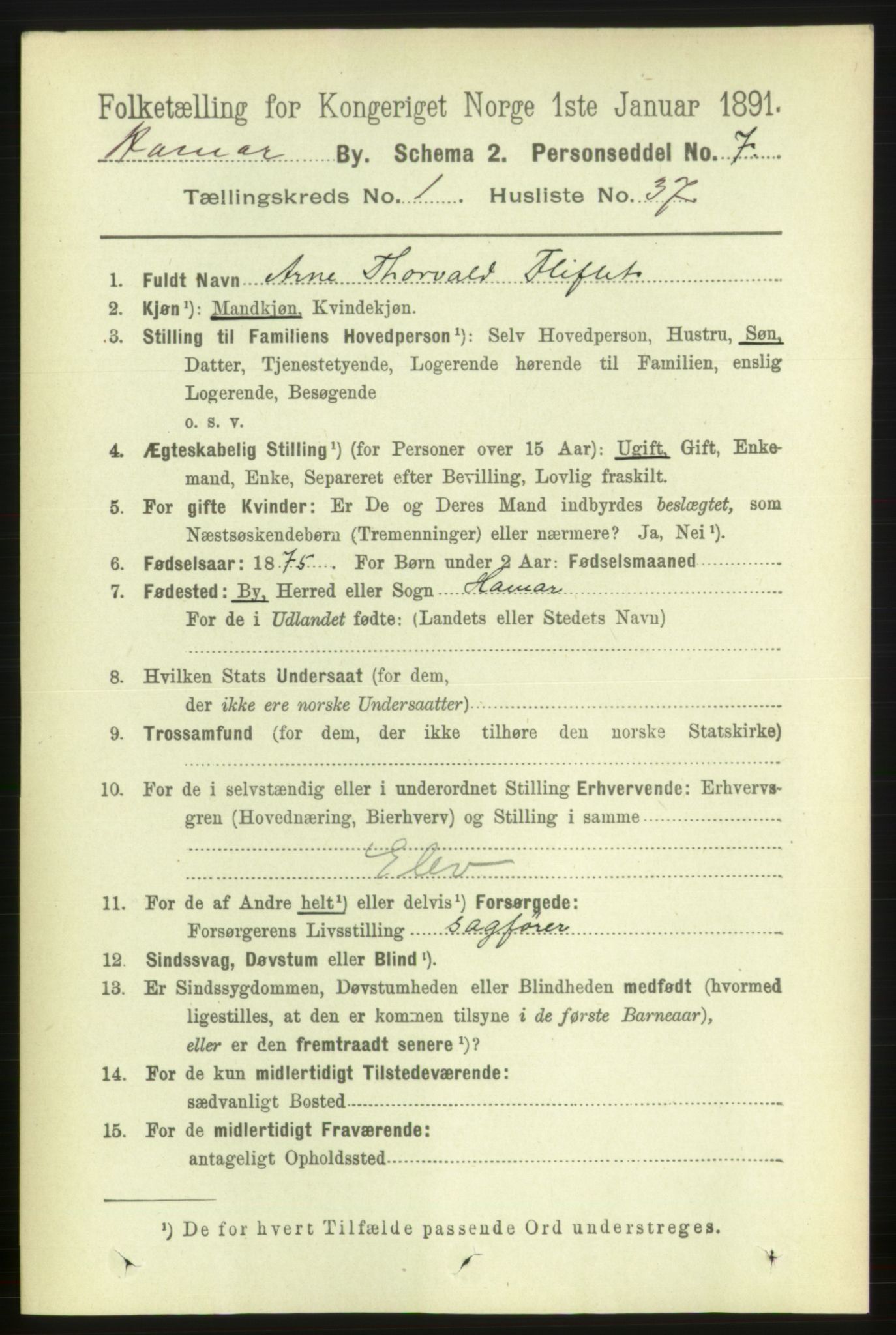 RA, 1891 census for 0401 Hamar, 1891, p. 523