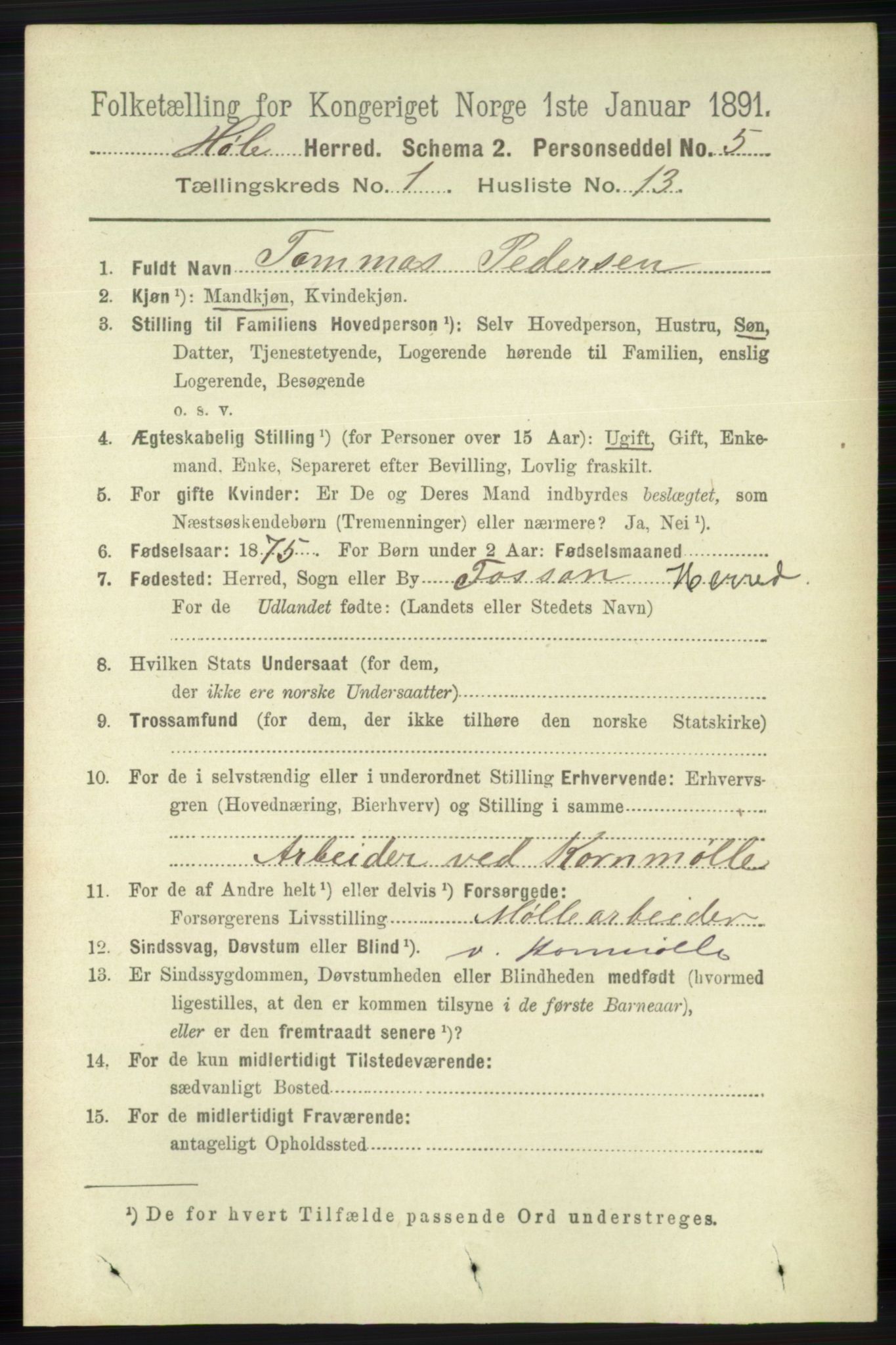 RA, 1891 census for 1128 Høle, 1891, p. 135