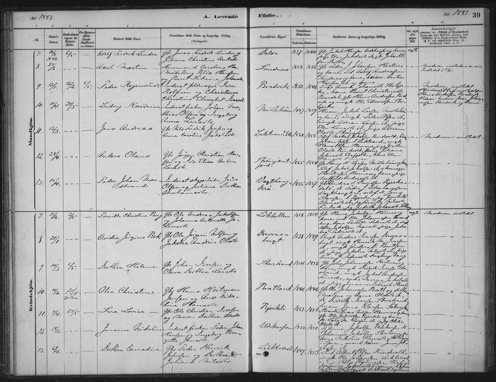 Ministerialprotokoller, klokkerbøker og fødselsregistre - Nordland, AV/SAT-A-1459/825/L0361: Parish register (official) no. 825A15, 1878-1893, p. 39