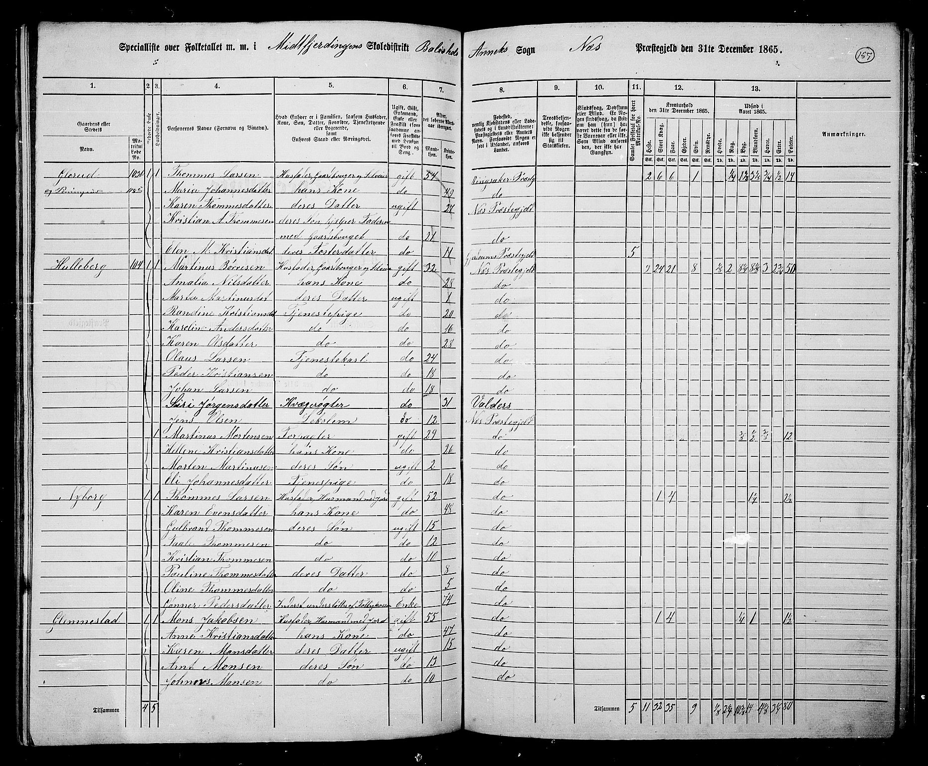 RA, 1865 census for Nes, 1865, p. 133