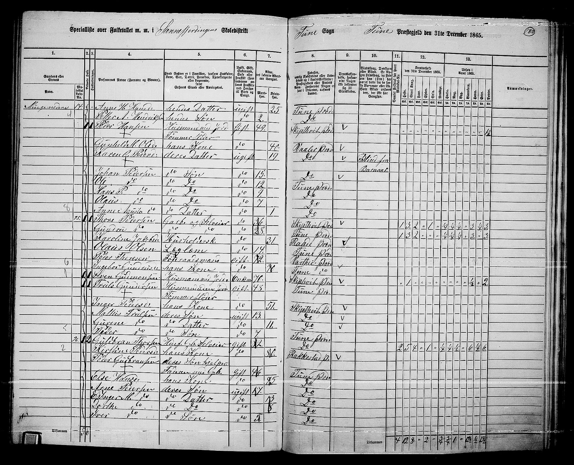 RA, 1865 census for Tune, 1865, p. 254