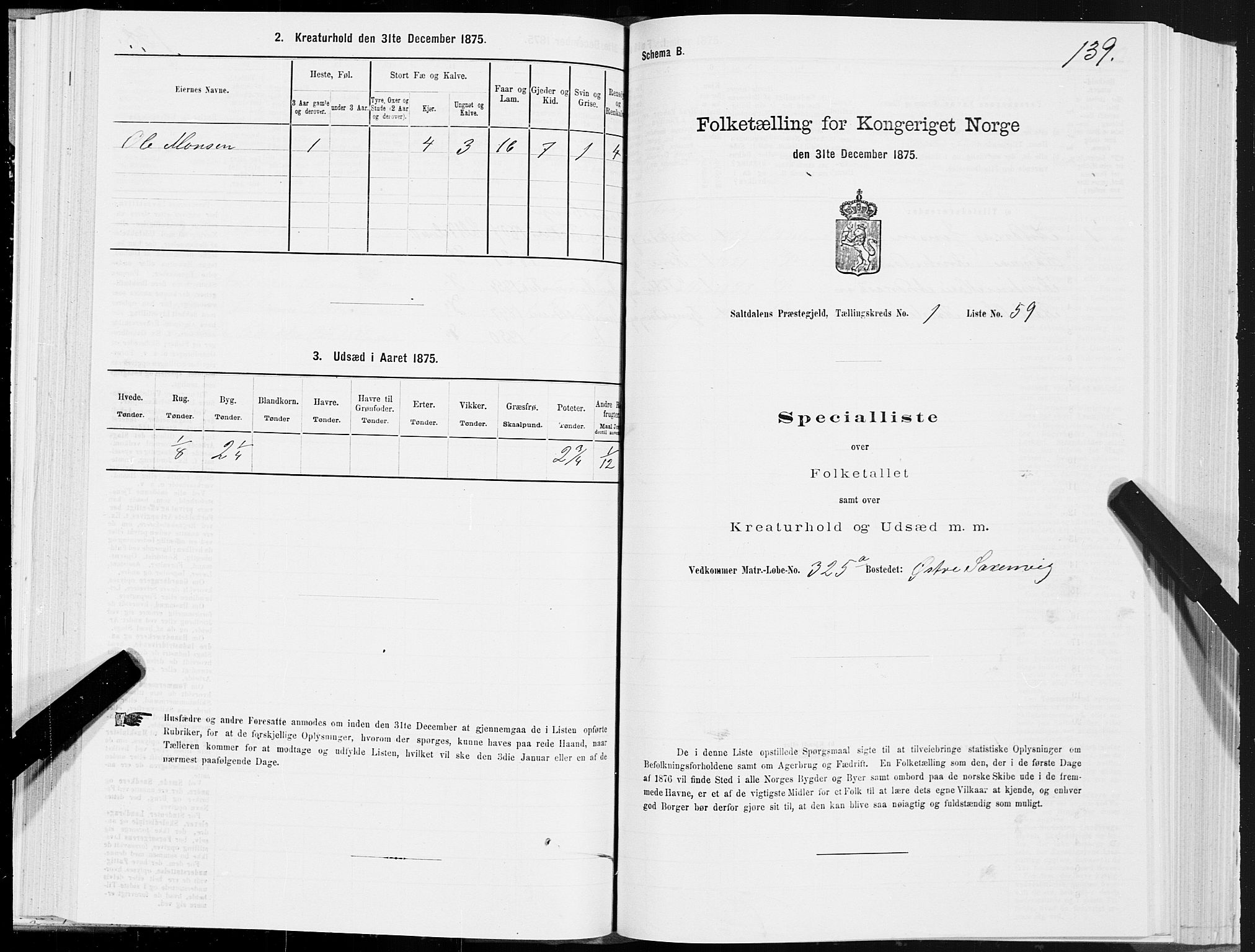 SAT, 1875 census for 1840P Saltdal, 1875, p. 1139