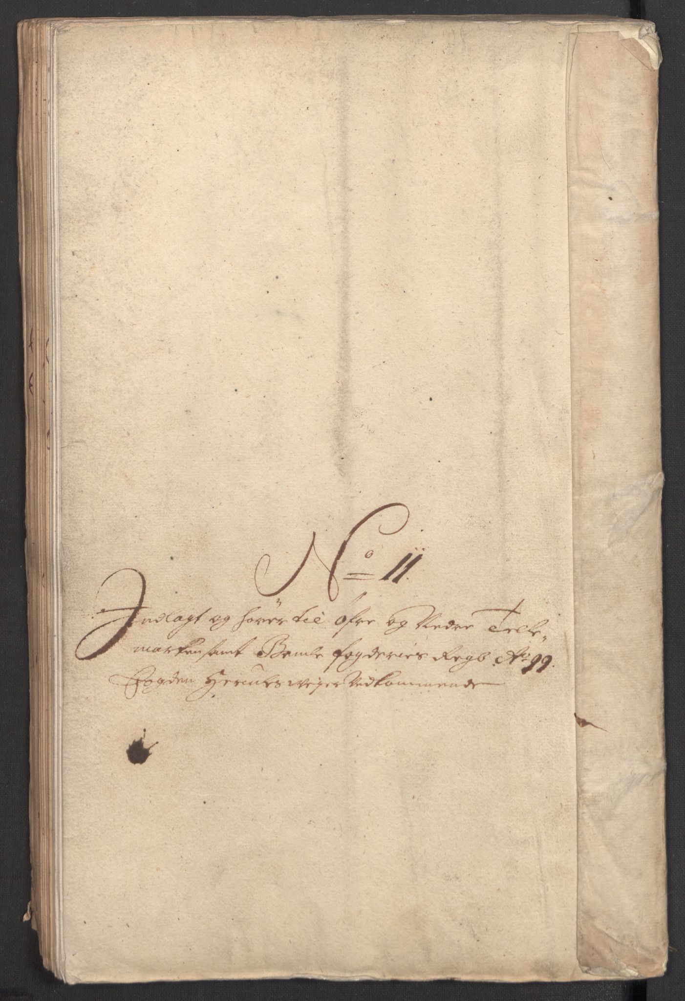 Rentekammeret inntil 1814, Reviderte regnskaper, Fogderegnskap, AV/RA-EA-4092/R36/L2101: Fogderegnskap Øvre og Nedre Telemark og Bamble, 1699, p. 217